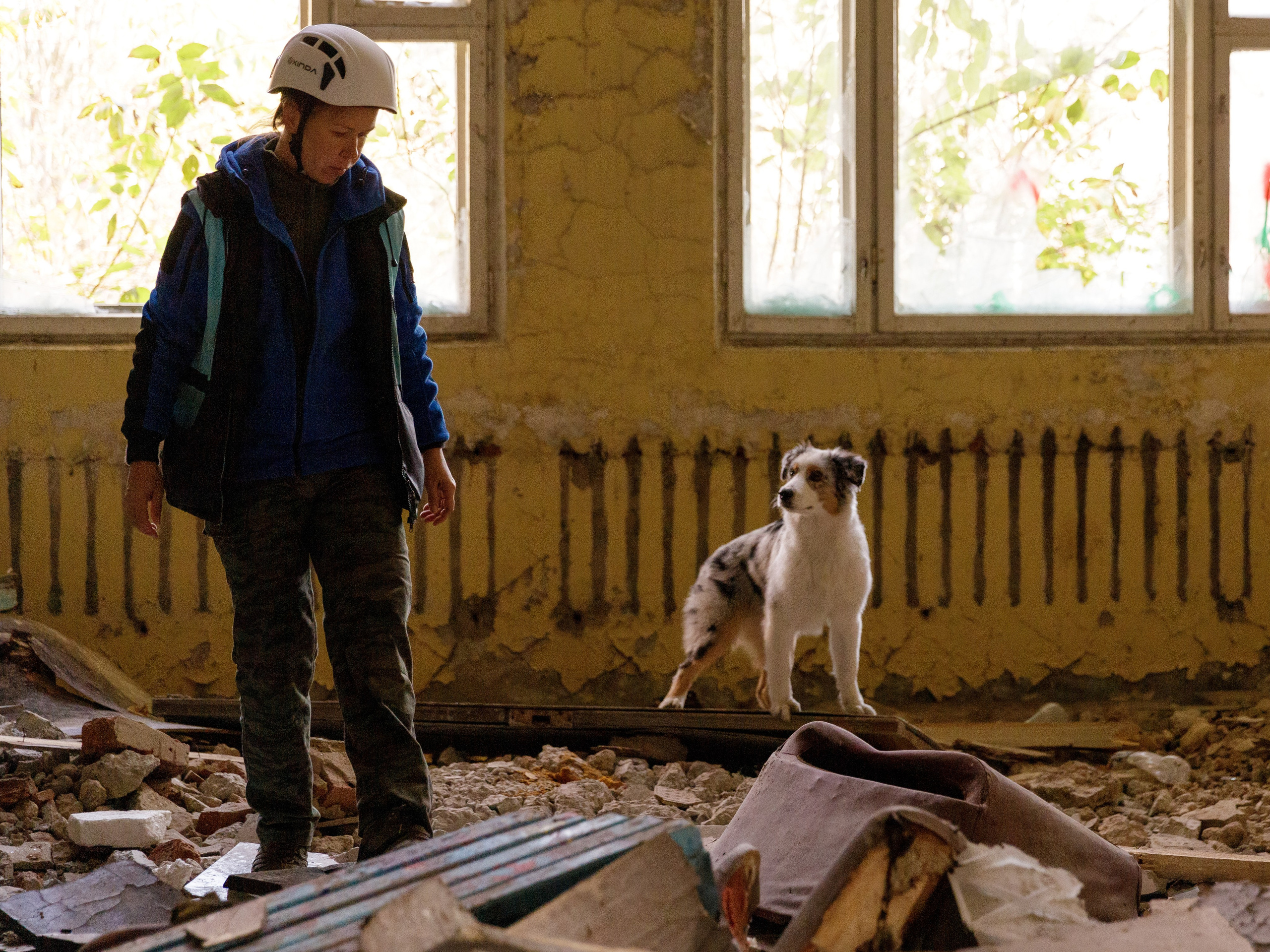 Поисково-спасательные службы (ПСС) — обучение и подготовка собак для спасательных работ. Дрессировка собак в калуге | Команда К40