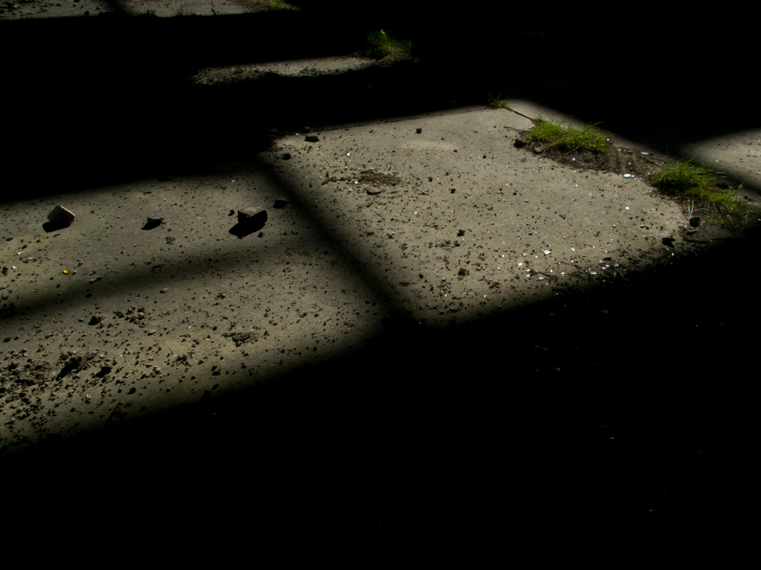 Инородное тело