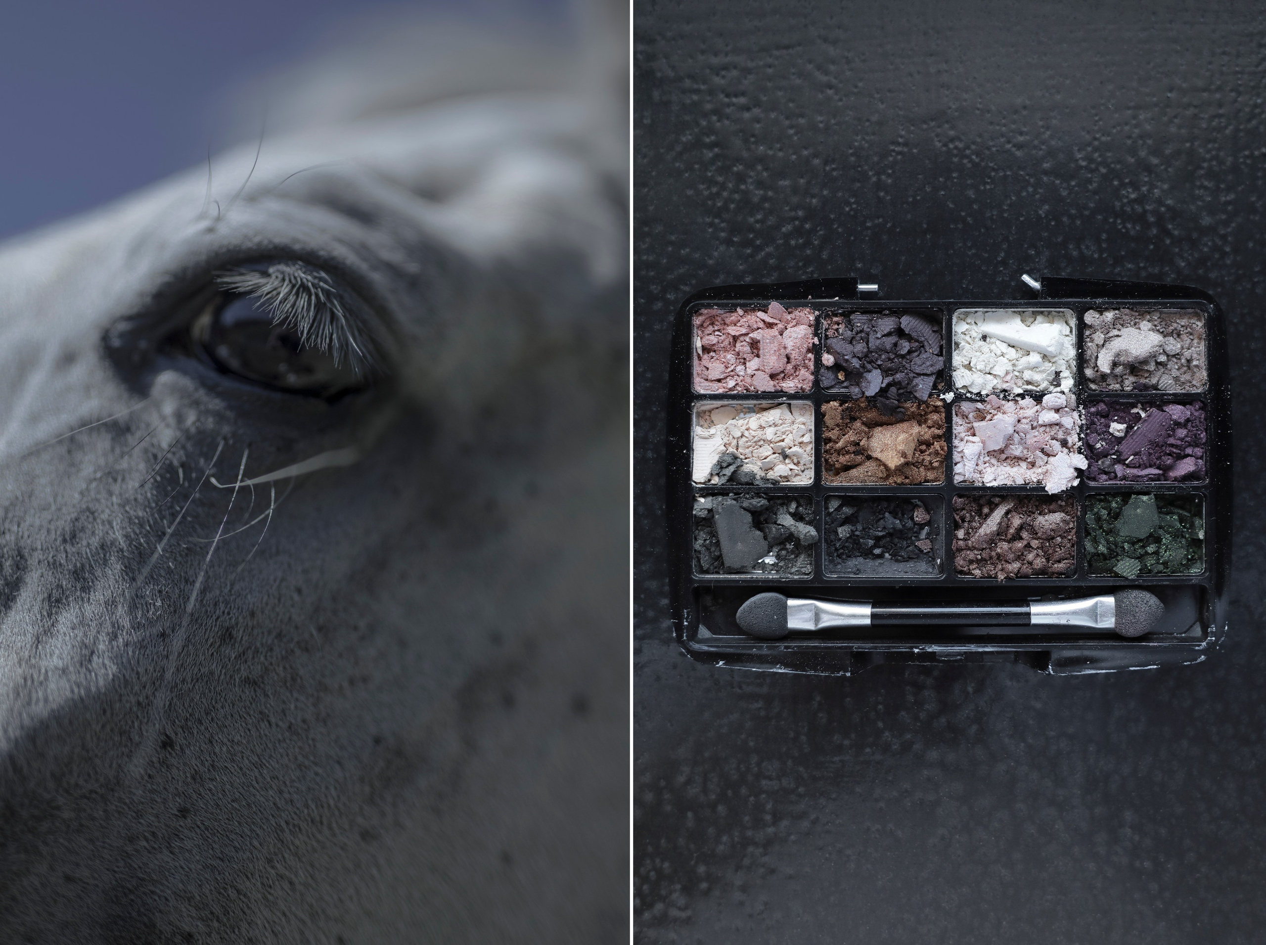 В ПОИСКАХ ВОСЬМОГО КОРПУСА. Фотограф Манакова Ольга