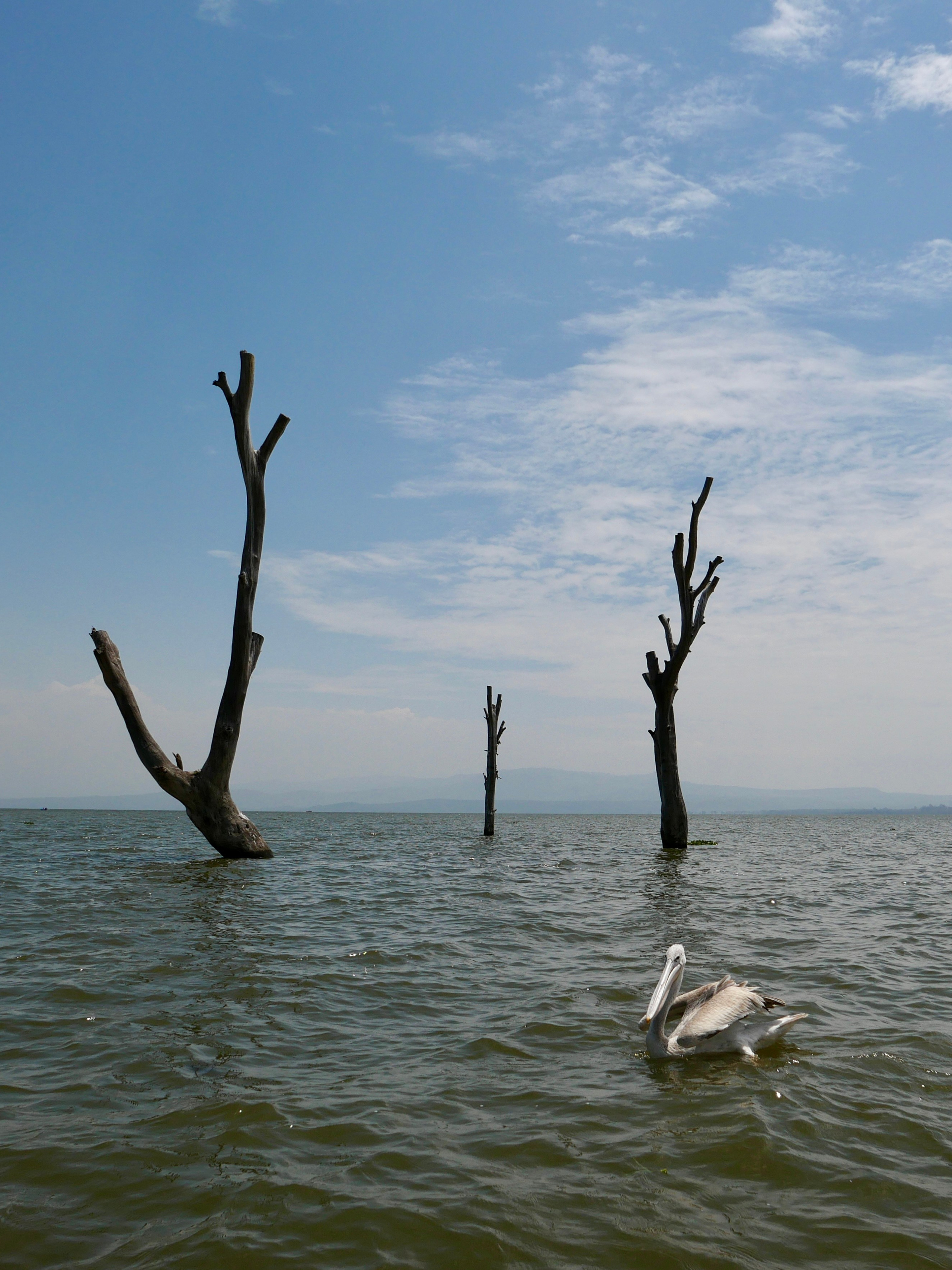 Большаков Андрей. ARTEXPOPHOTO