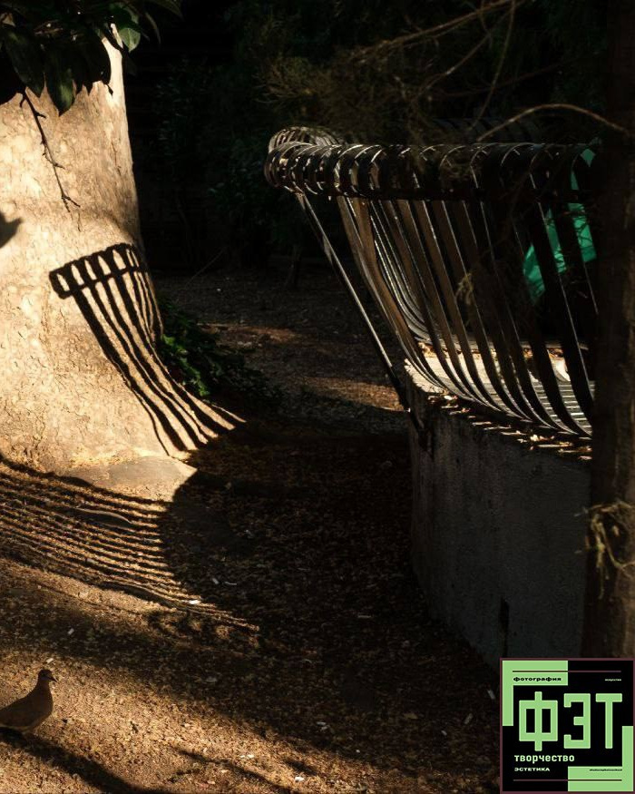 Альбом от 30.11.25 в рамках фотоконкурса ФЭТ: Фотография Эстетика Творчество