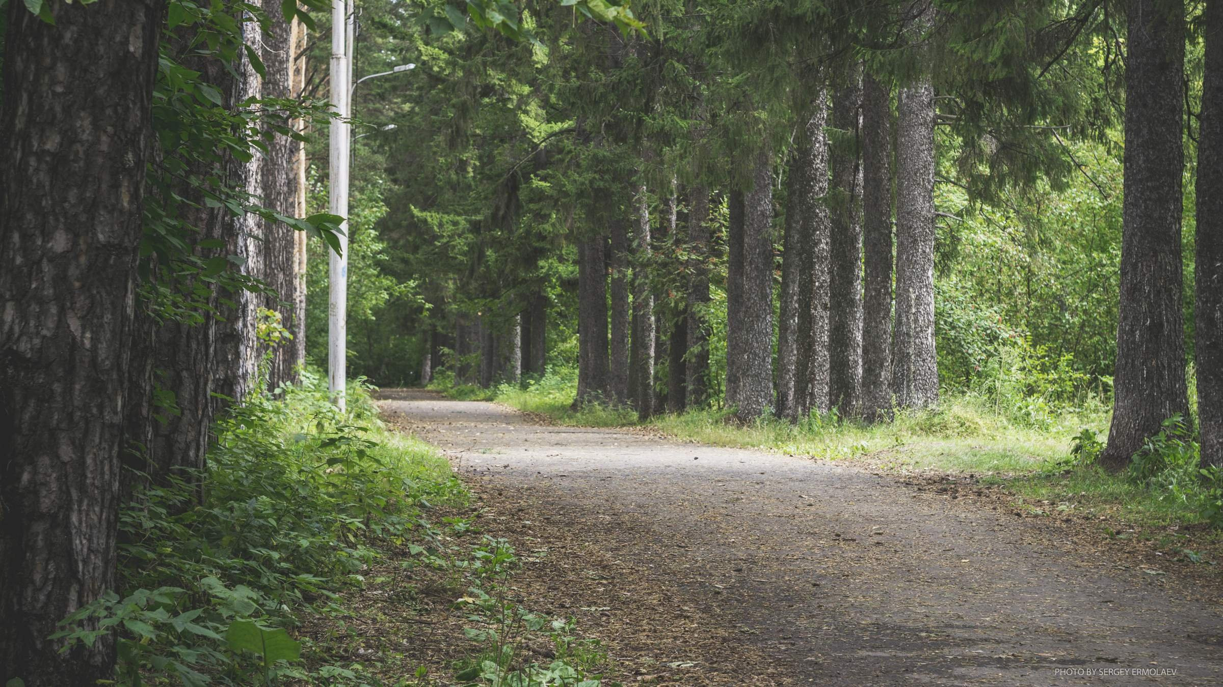 На тропах старинного парка