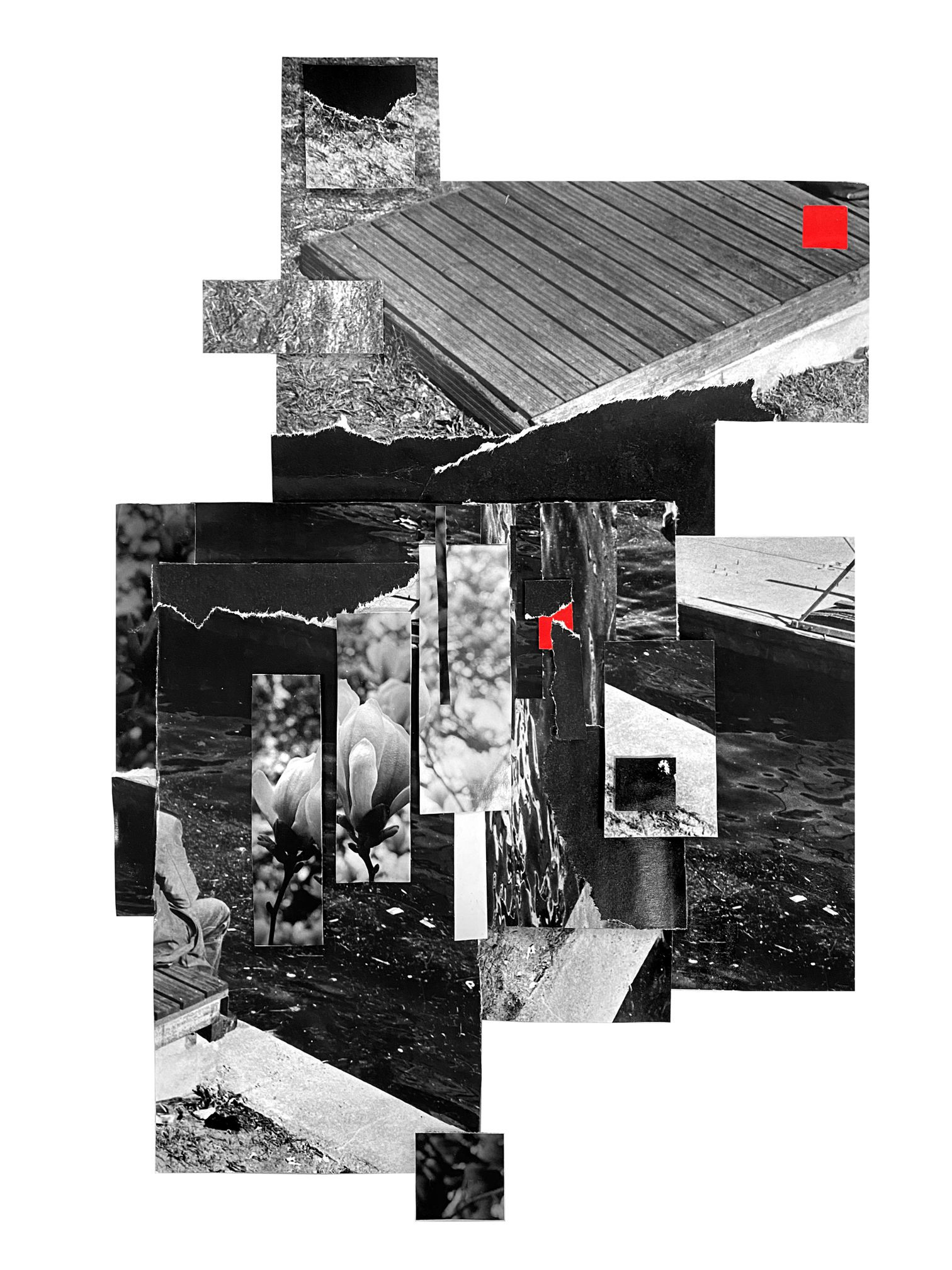 Новости. Музей истории фотографии в Санкт-Петербурге