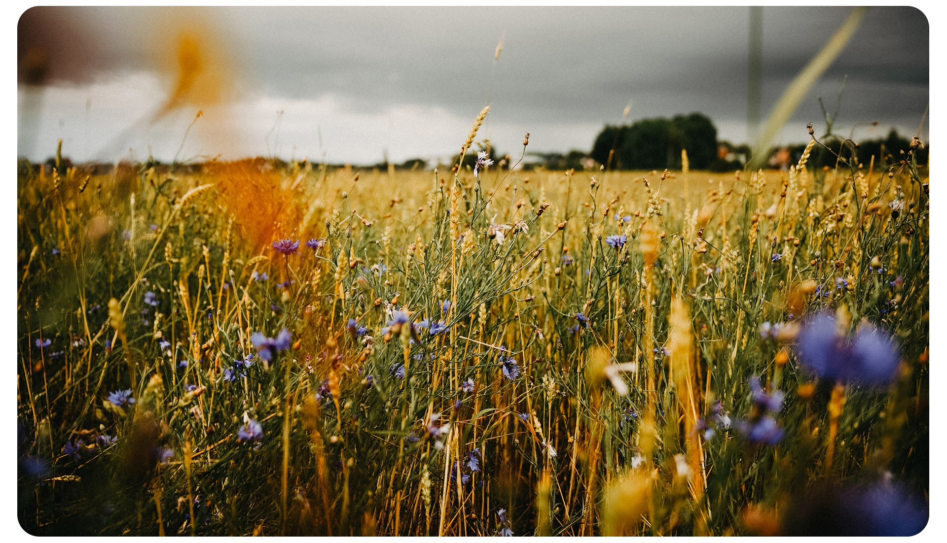 Калининград 3. Фотограф из Москвы — DASHA NOVA | Авторская фотография в разных жанрах