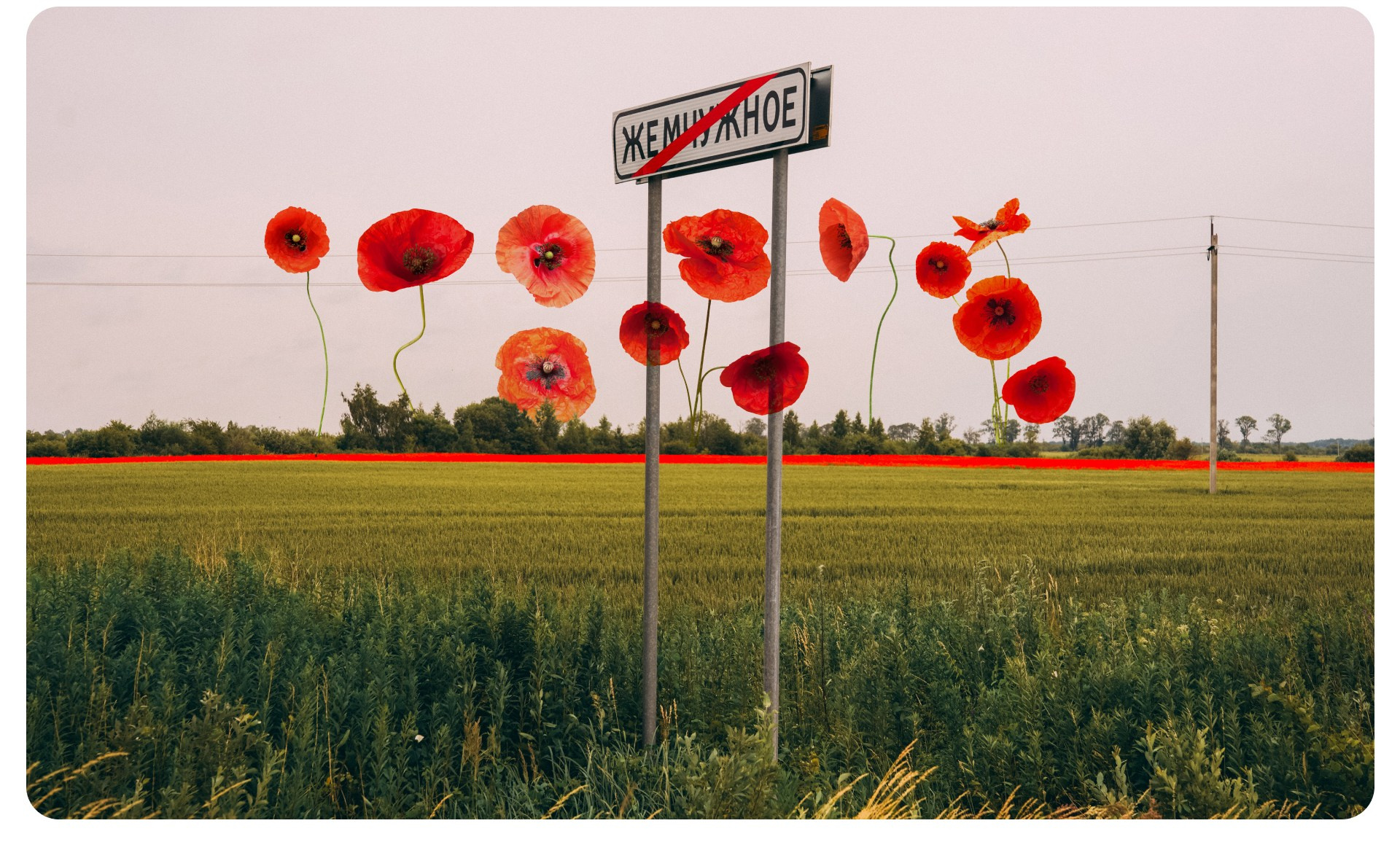 Калининград 2. Фотограф из Москвы — DASHA NOVA | Авторская фотография в разных жанрах