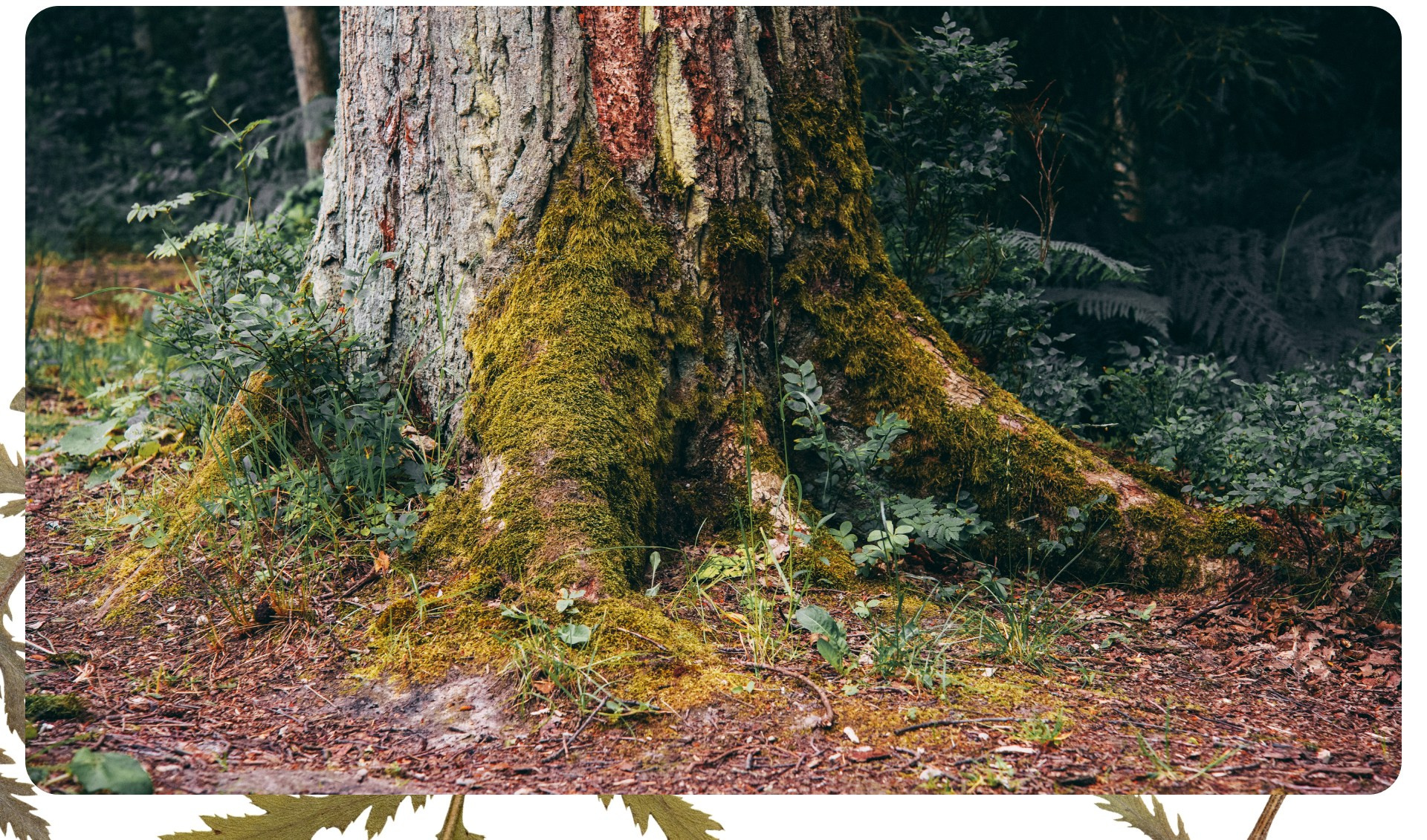 Калининград 1. Фотограф из Москвы — DASHA NOVA | Авторская фотография в разных жанрах