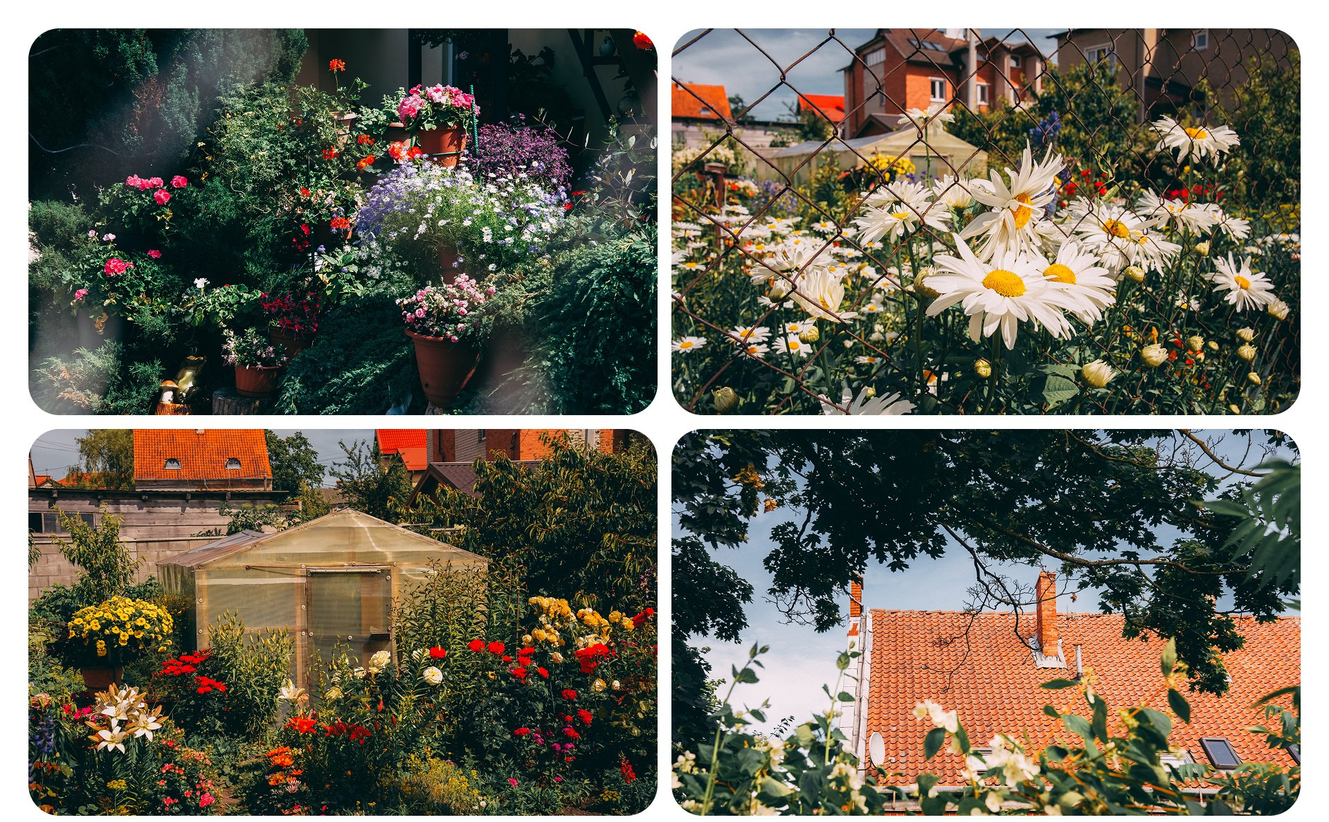 Калининград 3. Фотограф из Москвы — DASHA NOVA | Авторская фотография в разных жанрах