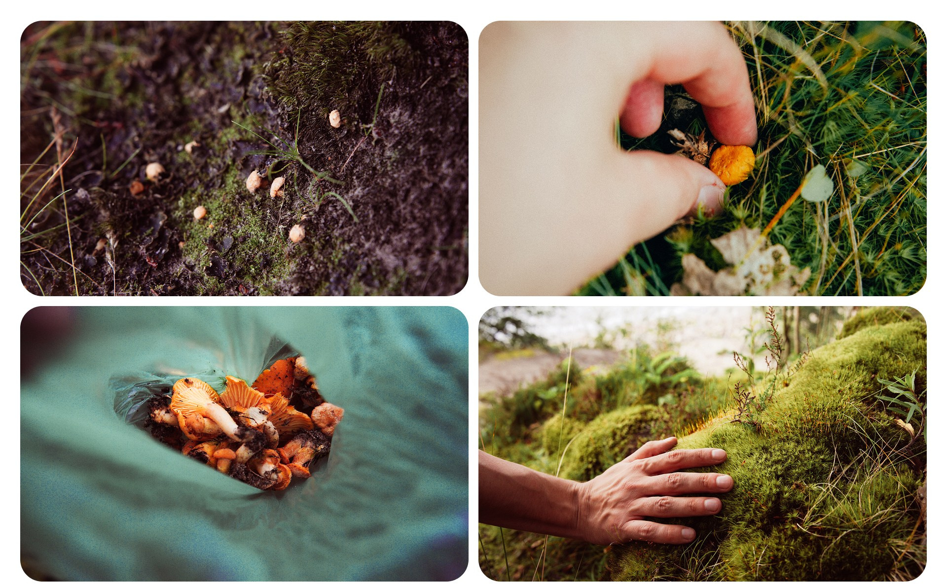 Калининград 3. Фотограф из Москвы — DASHA NOVA | Авторская фотография в разных жанрах