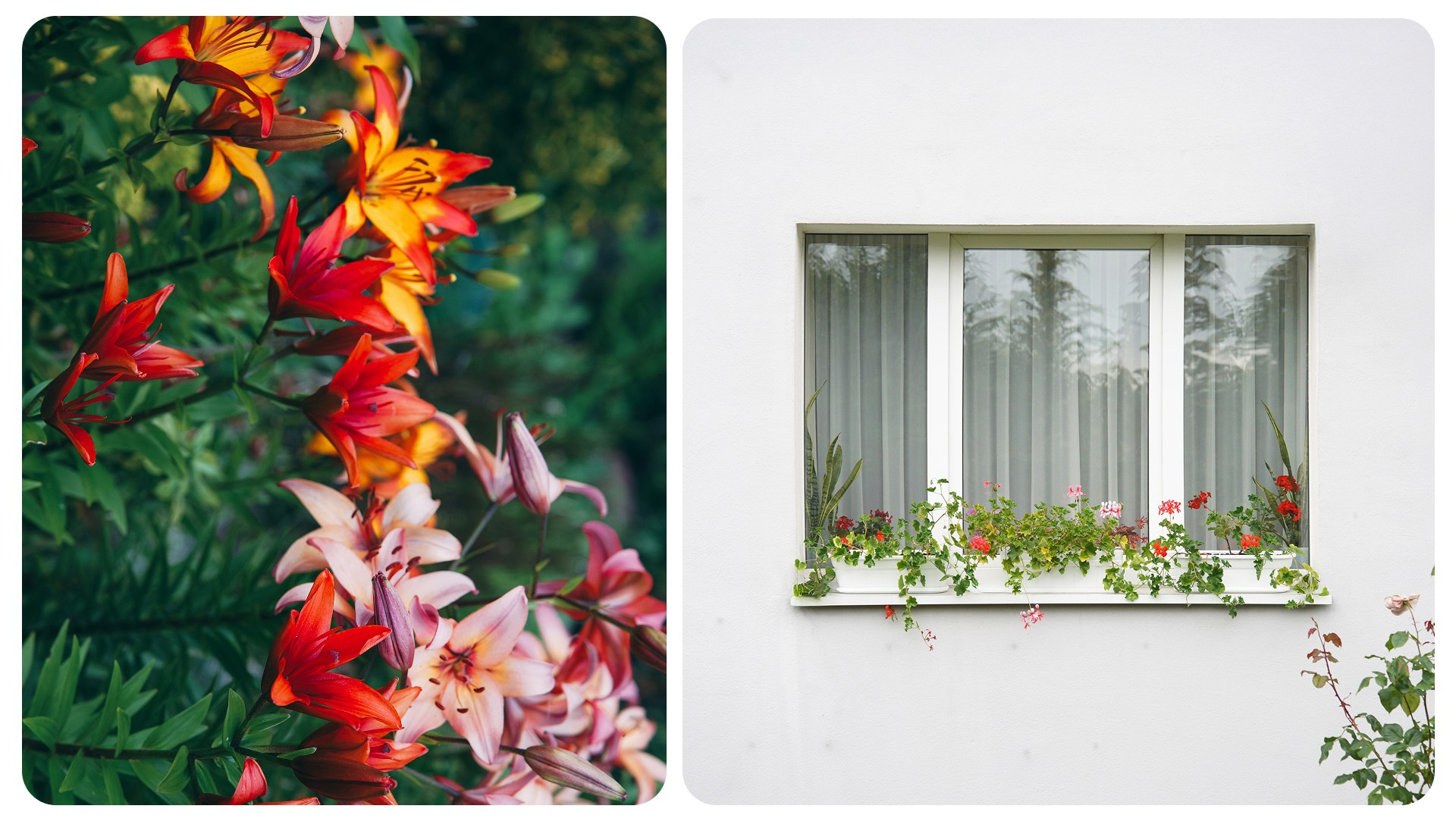 Калининград 1. Фотограф из Москвы — DASHA NOVA | Авторская фотография в разных жанрах