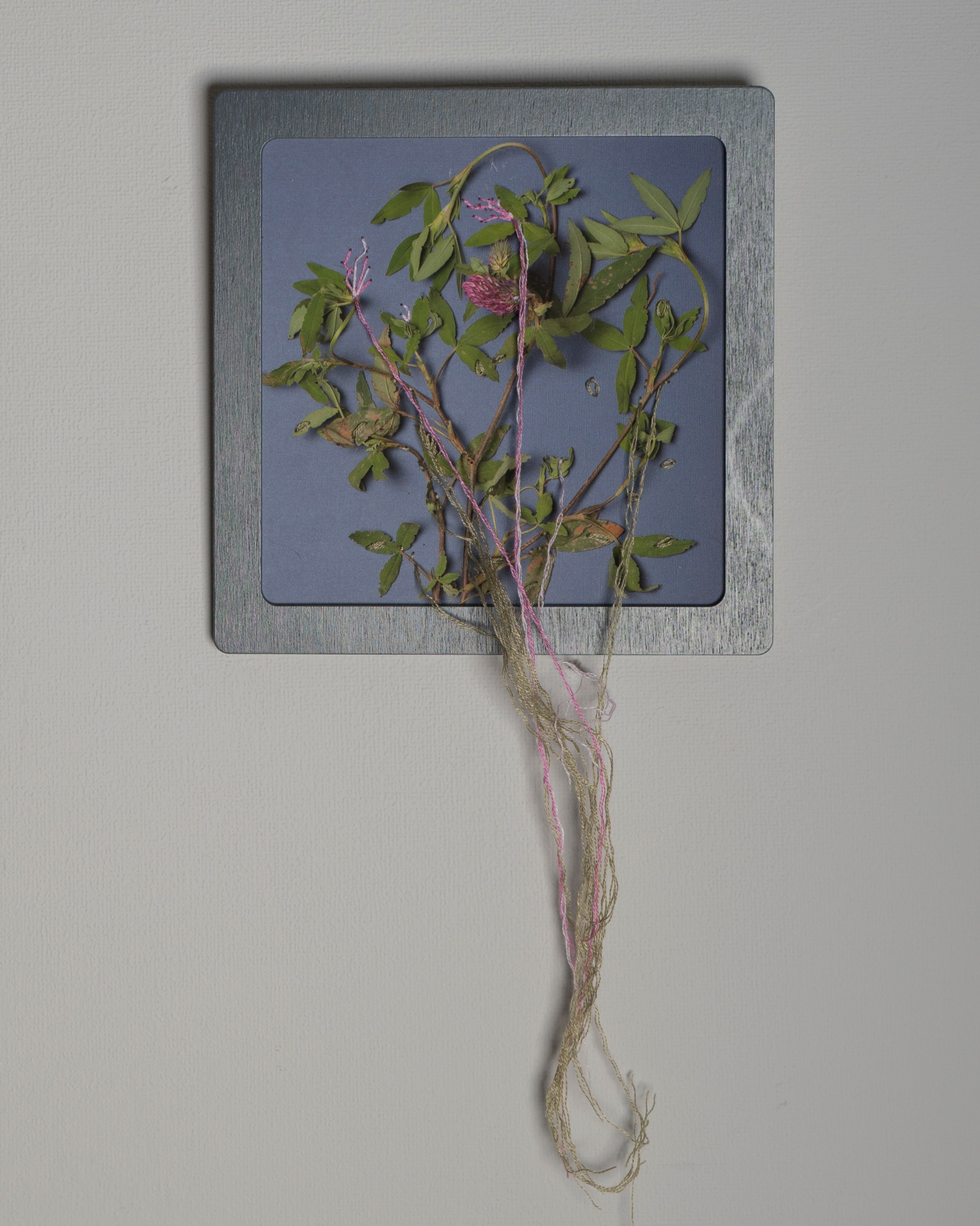 Работы приобрести. Фотохудожник АРТ-фотограф Ира Будниченко Москва