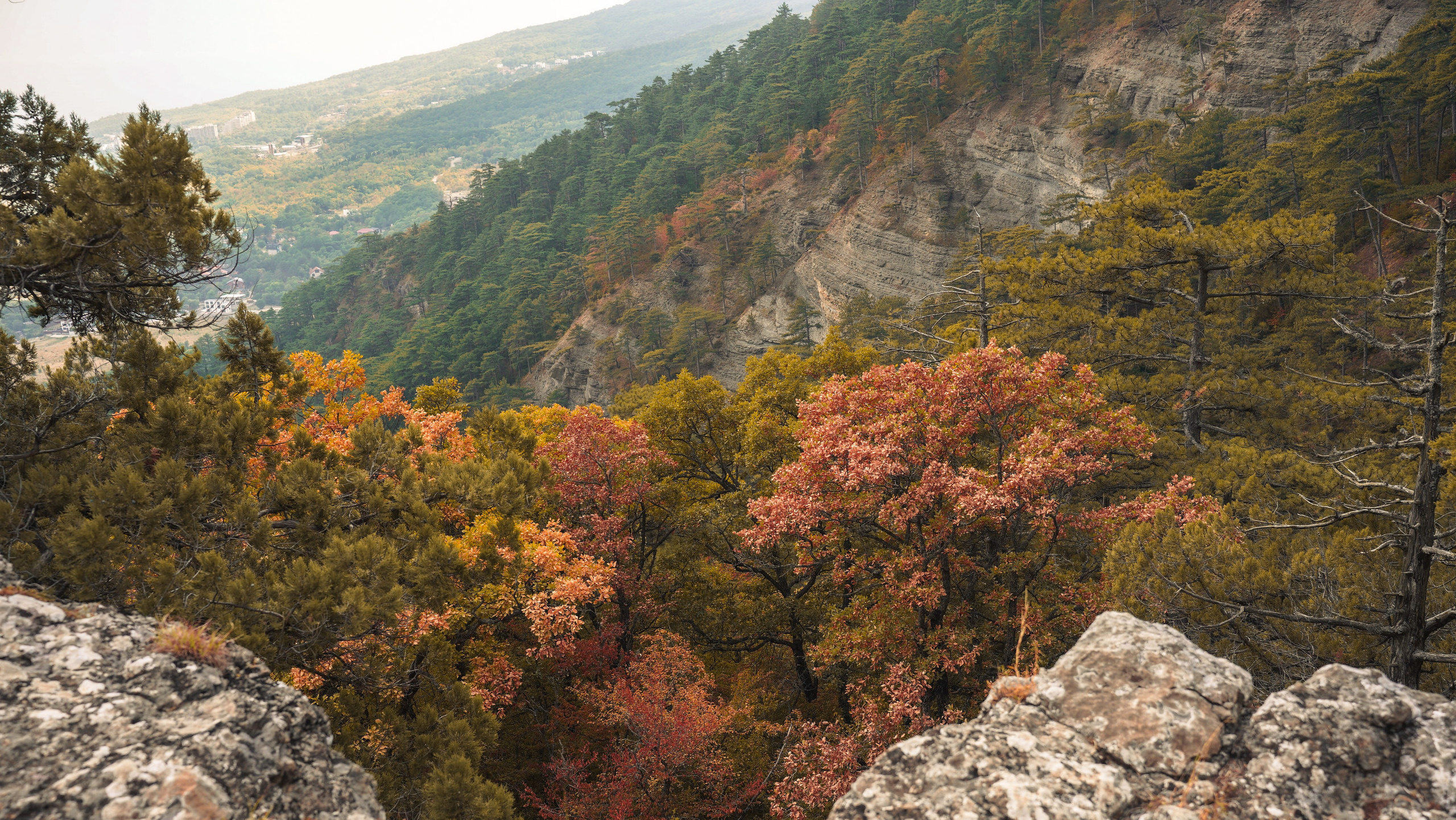 Боткинская тропа. Фотограф из Москвы — DASHA NOVA | Авторская фотография в разных жанрах