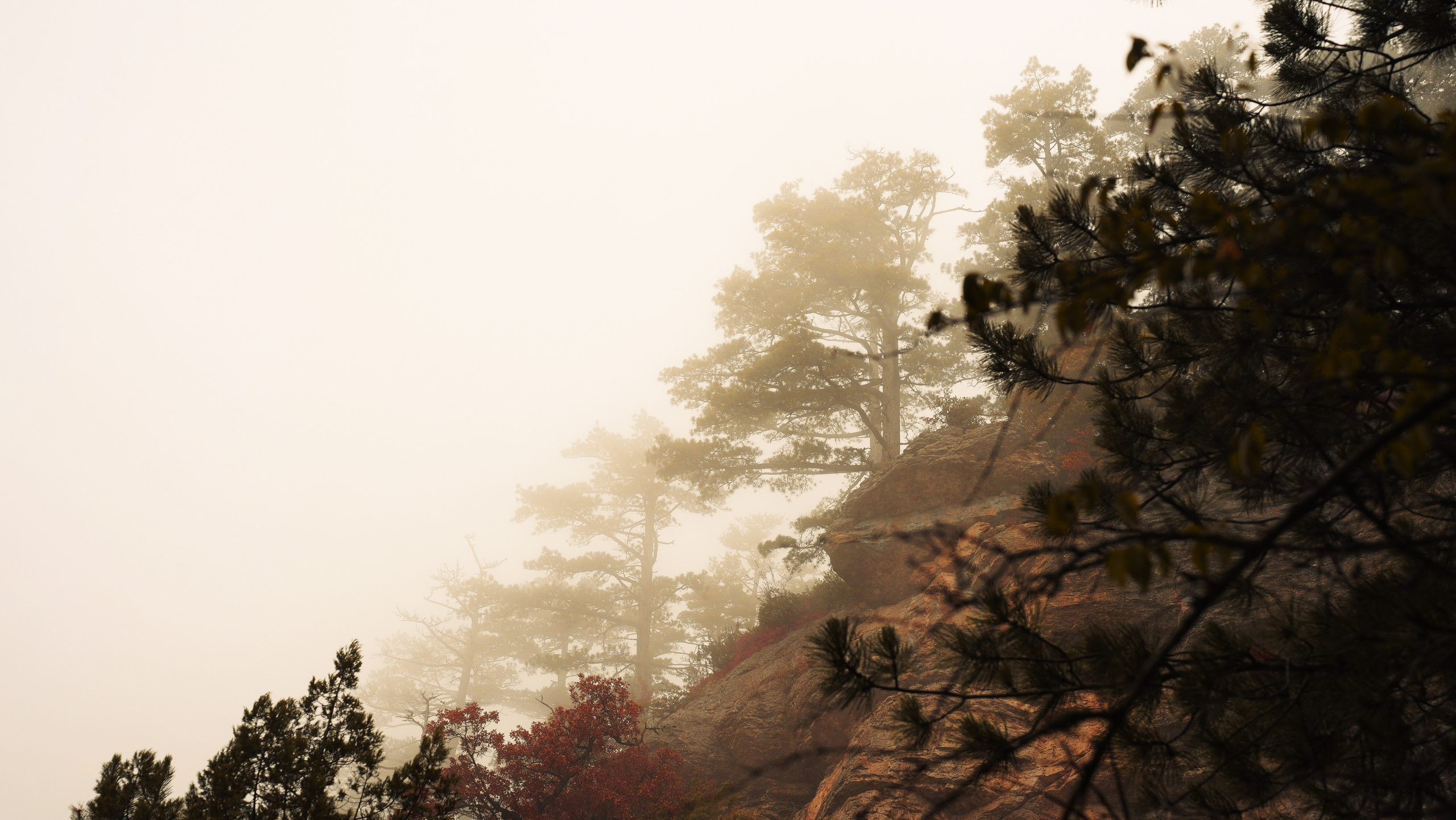 Боткинская тропа. Фотограф из Москвы — DASHA NOVA | Авторская фотография в разных жанрах