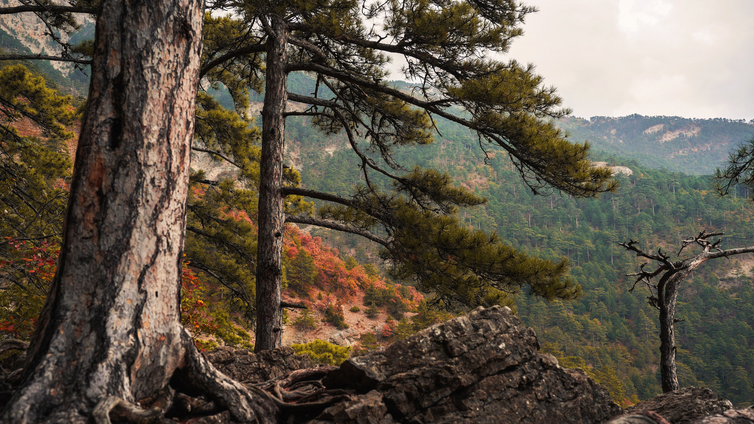 Боткинская тропа. Фотограф из Москвы — DASHA NOVA | Авторская фотография в разных жанрах