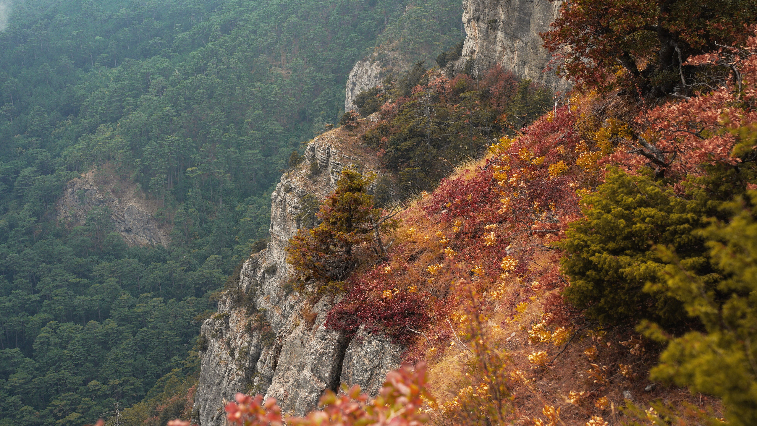 Боткинская тропа. Фотограф из Москвы — DASHA NOVA | Авторская фотография в разных жанрах