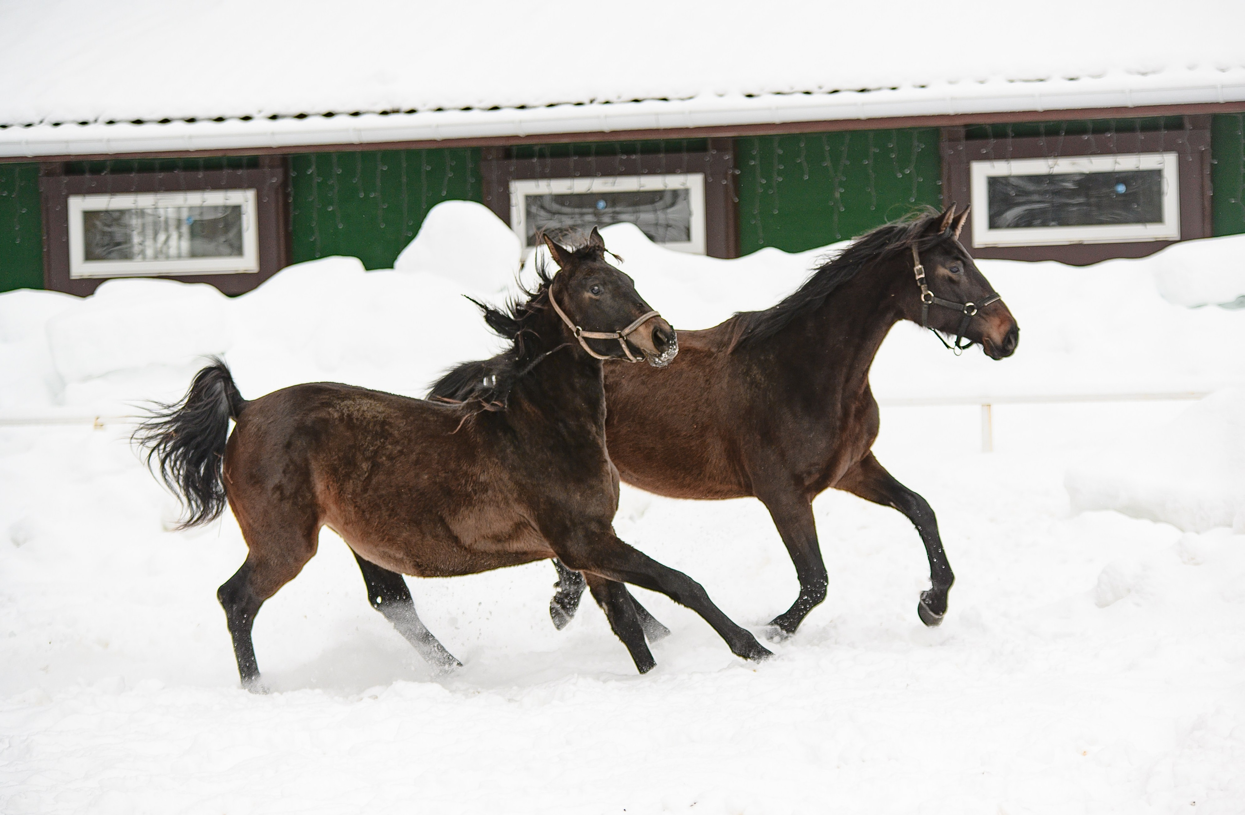Фотосессия. Фотограф Рязань