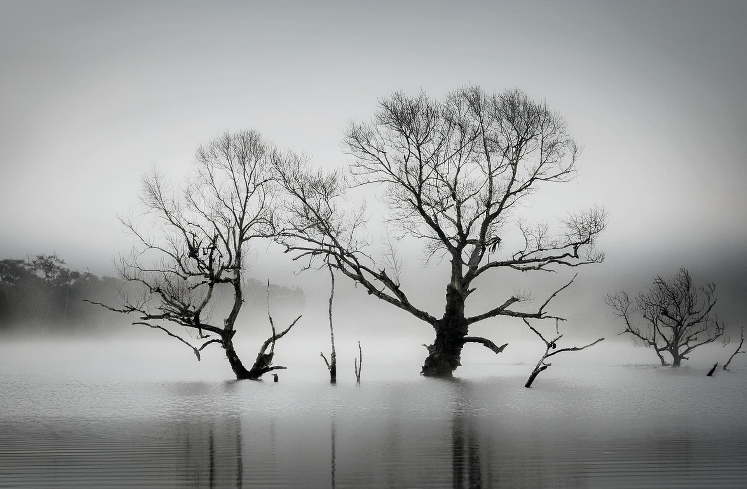 Как улучшить качество ЧБ фотографий. Safronov Ivan — a portrait photographer in Moscow