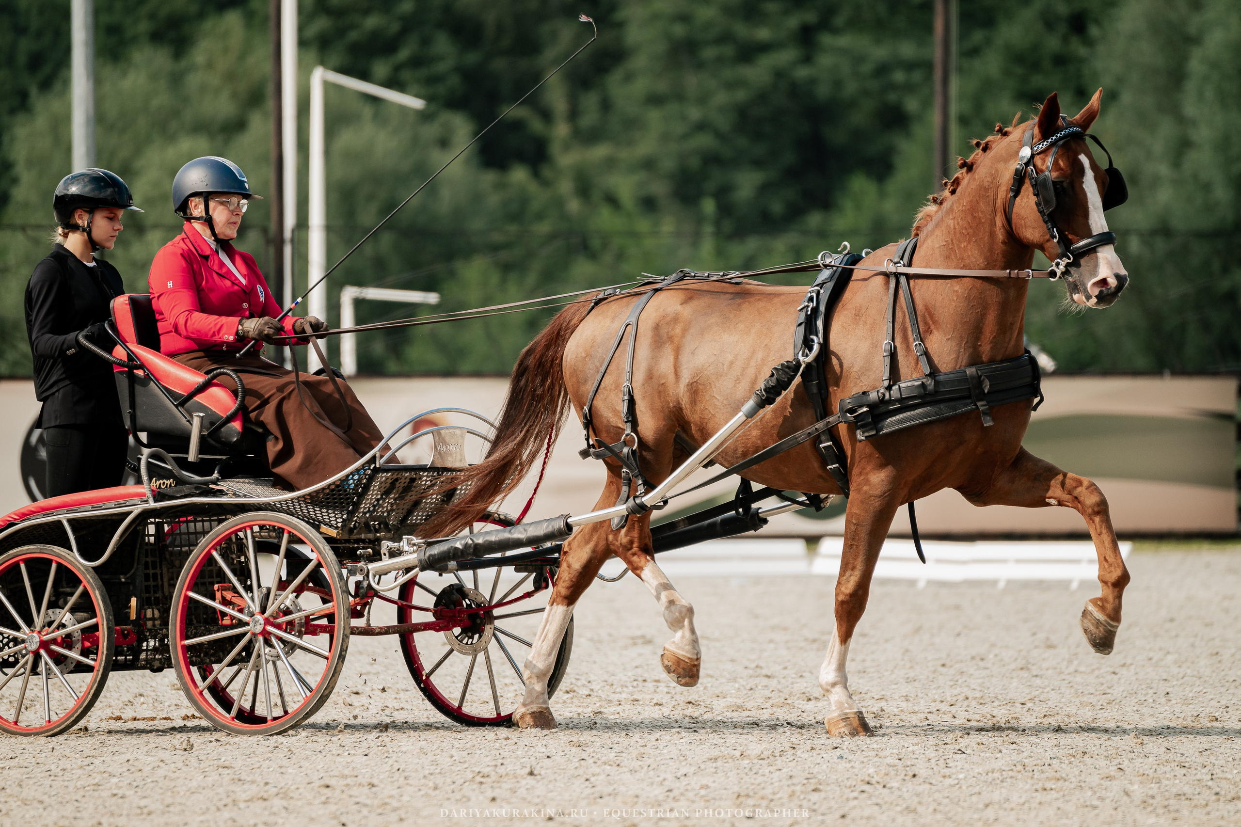 Спортивные мероприятия. Конный фотограф Куракина Дарья • Фотосессии с лошадьми