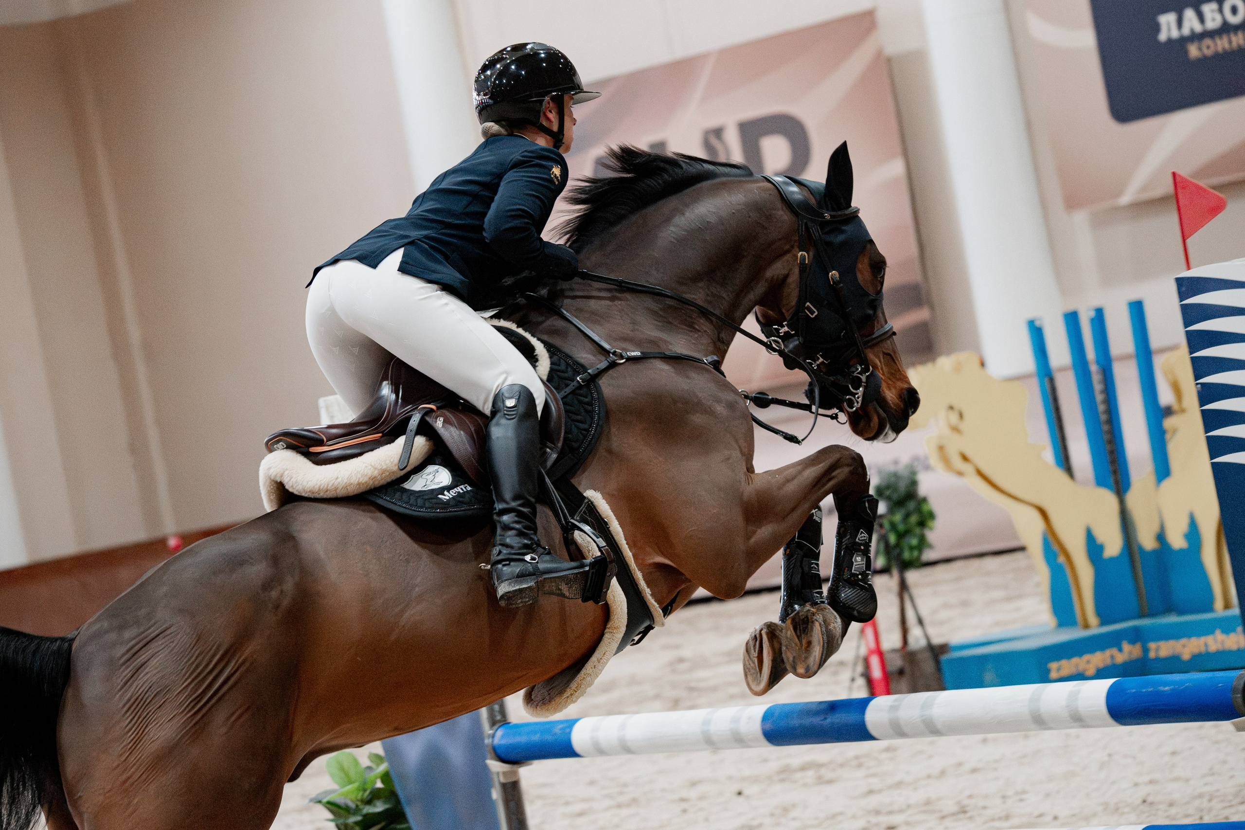 Спортивные мероприятия. Куракина Дарья • Конный фотограф