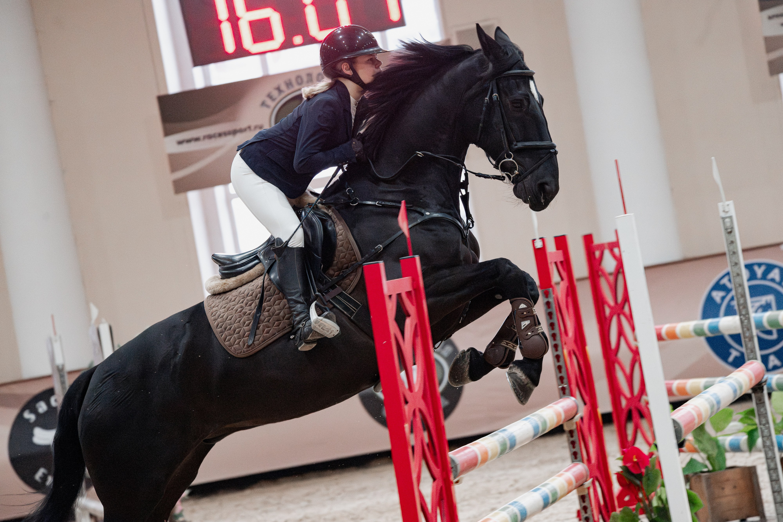 Спортивные мероприятия. Куракина Дарья • Конный фотограф