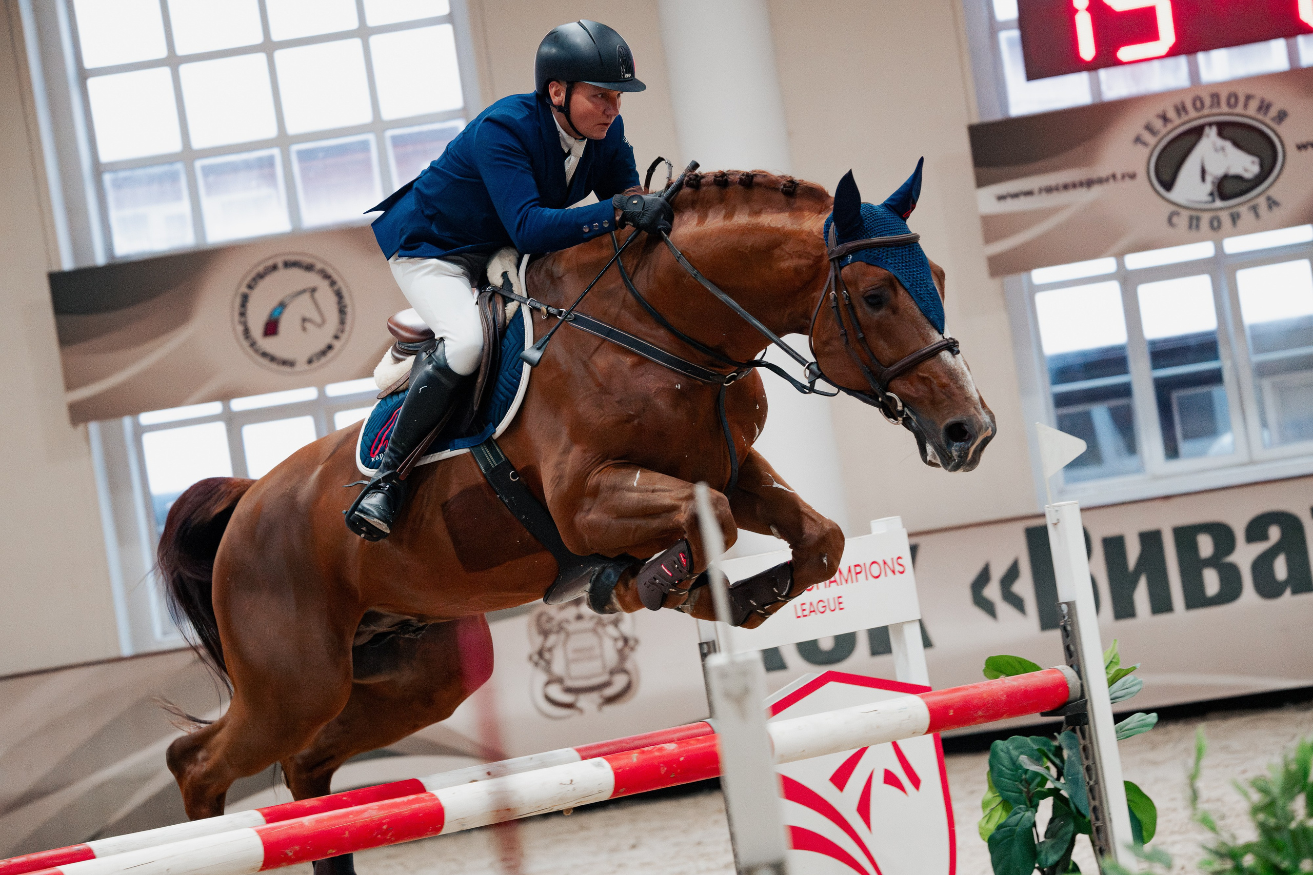 Спортивные мероприятия. Конный фотограф Куракина Дарья • Фотосессии с лошадьми