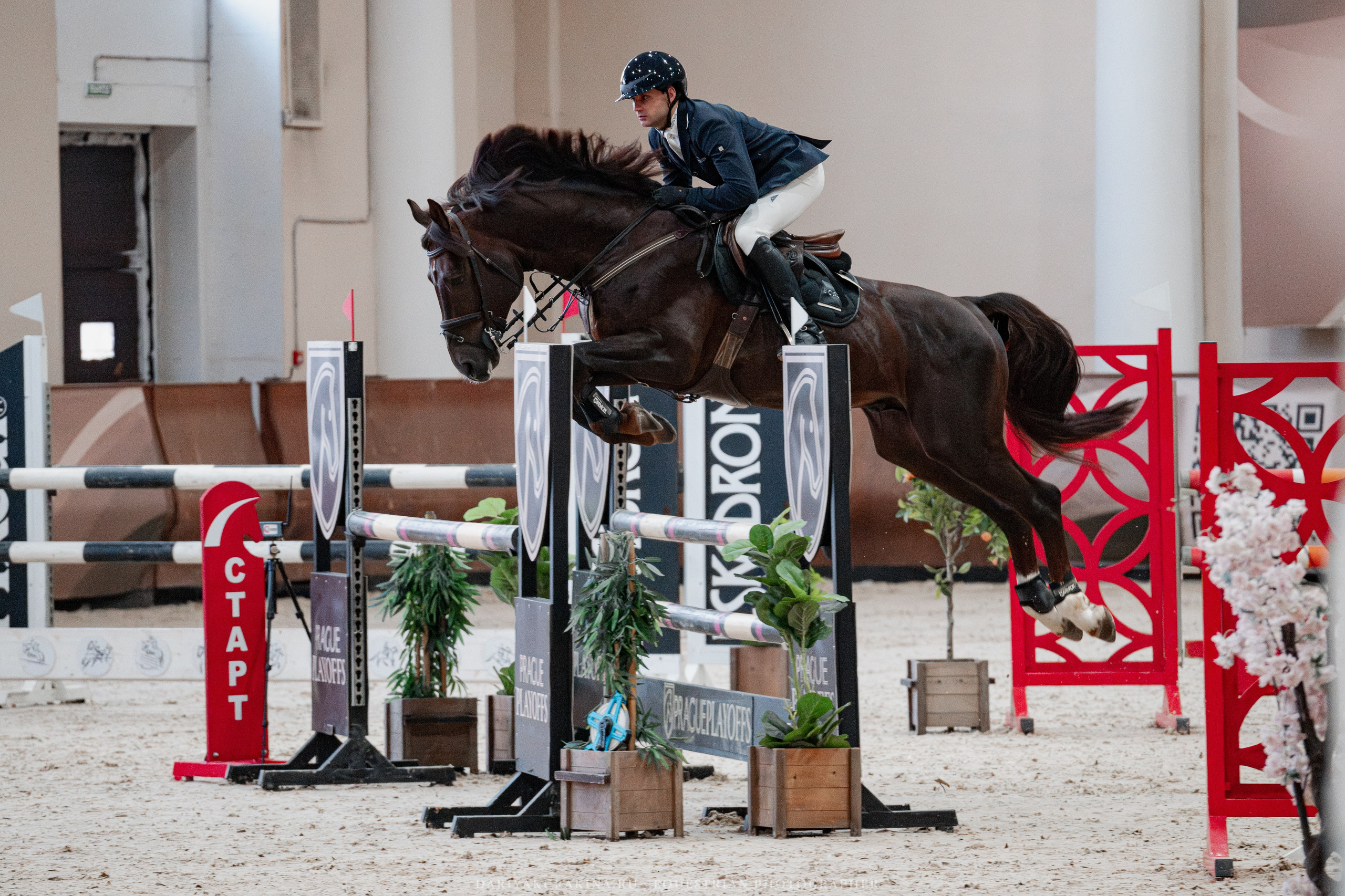 Спортивные мероприятия. Куракина Дарья • Конный фотограф