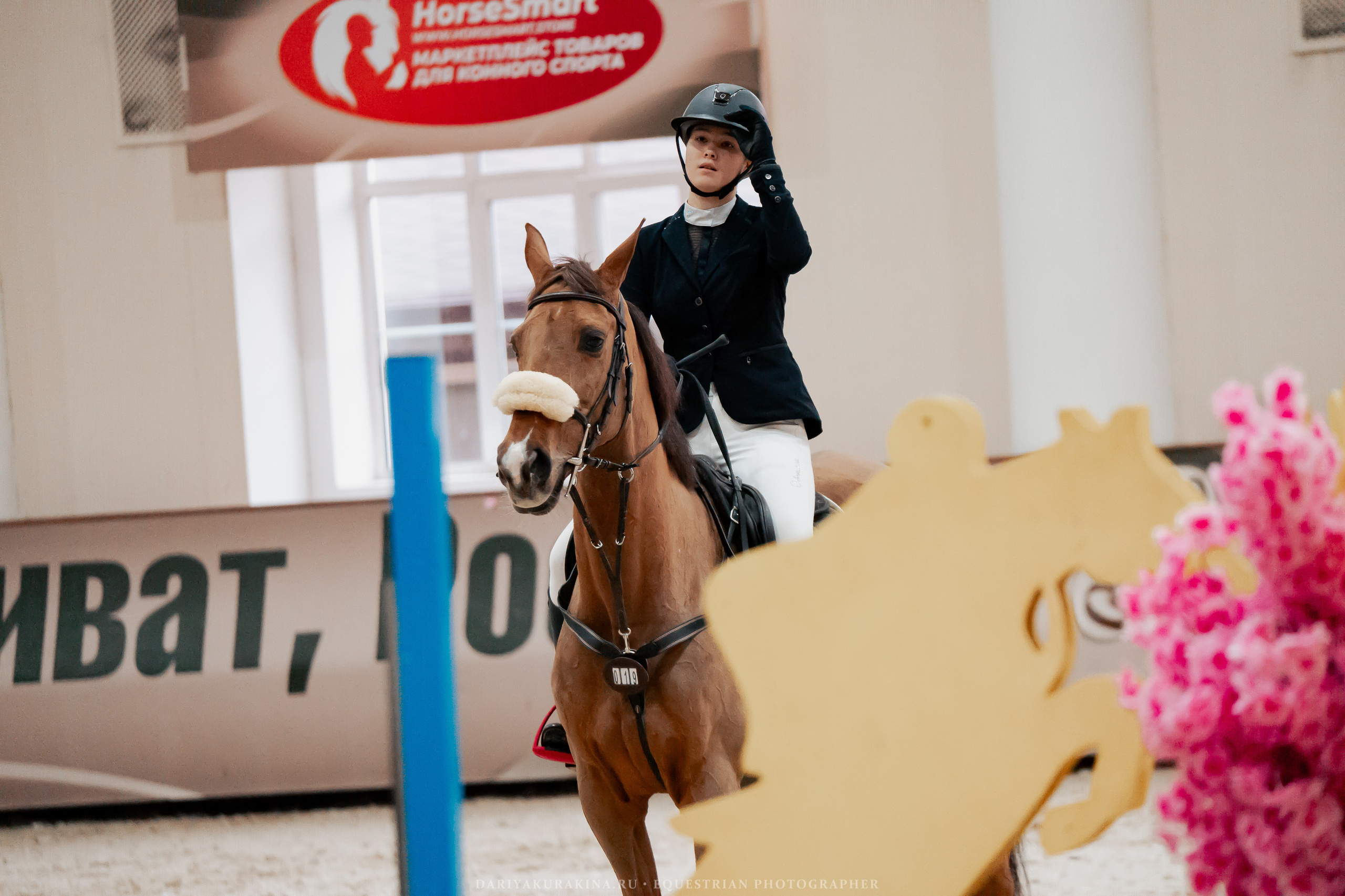 Спортивные мероприятия. Конный фотограф Куракина Дарья • Фотосессии с лошадьми