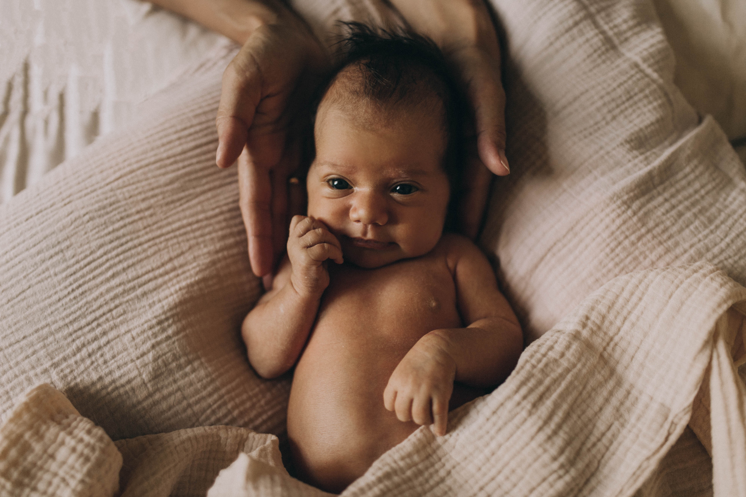 Прайс. Семейный фотограф в Санкт-Петербурге