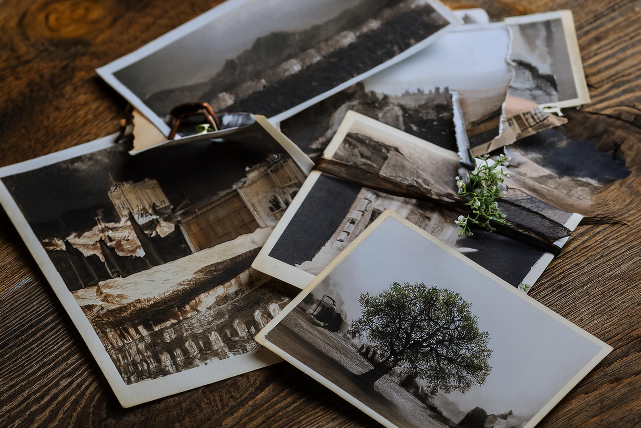 Креативные фотопроекты, которые можно начать уже сейчас. Сафронов Иван — портретный фотограф в Москве