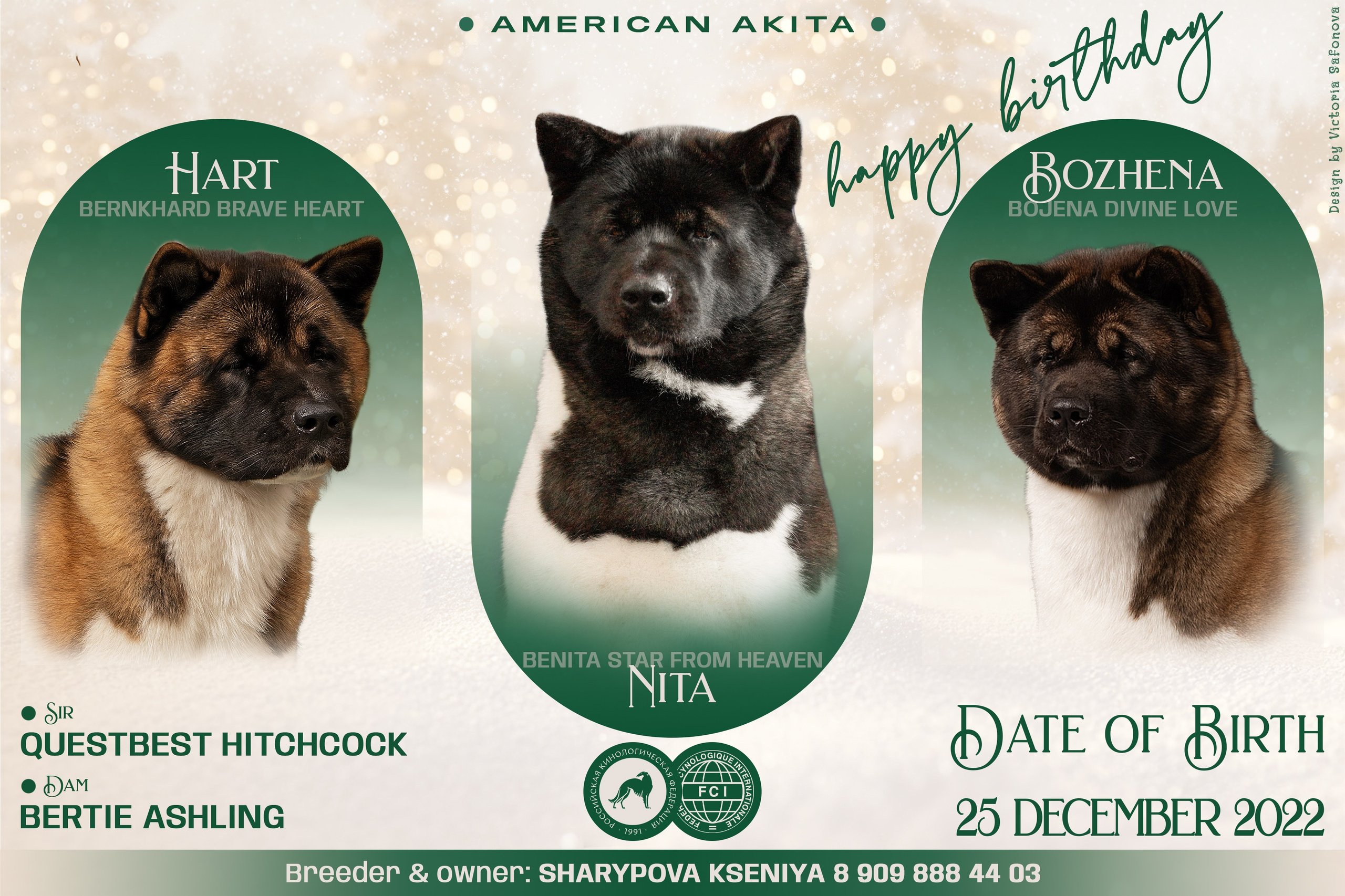 Дизайн. Фотограф анималист Благовещенск. Сафонова Виктория