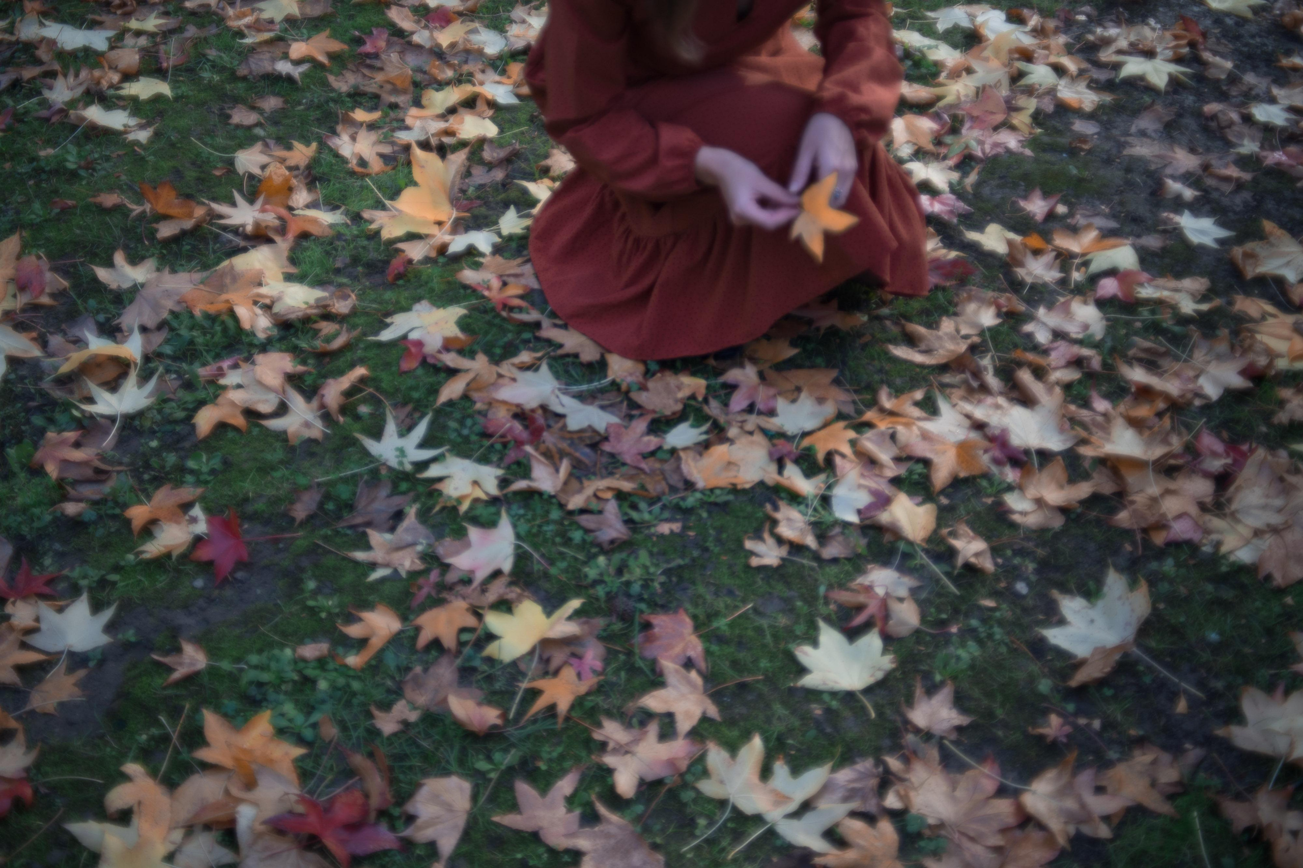 Услуги. Главная