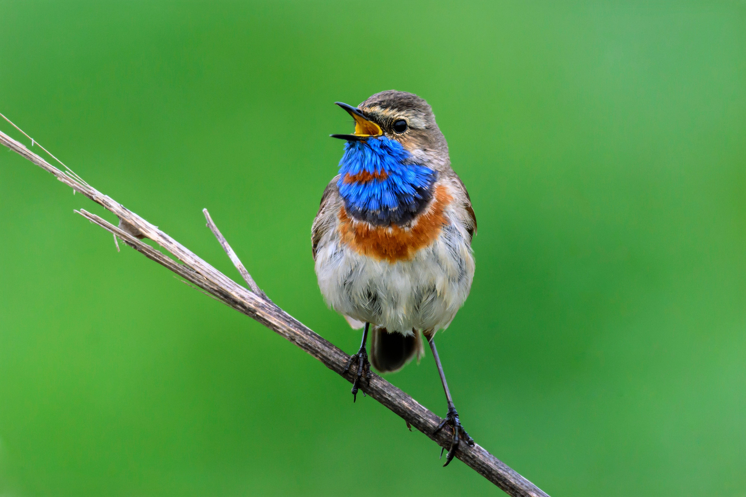 Ждем хорошую погоду. Фотограф Сергей Пупонин
