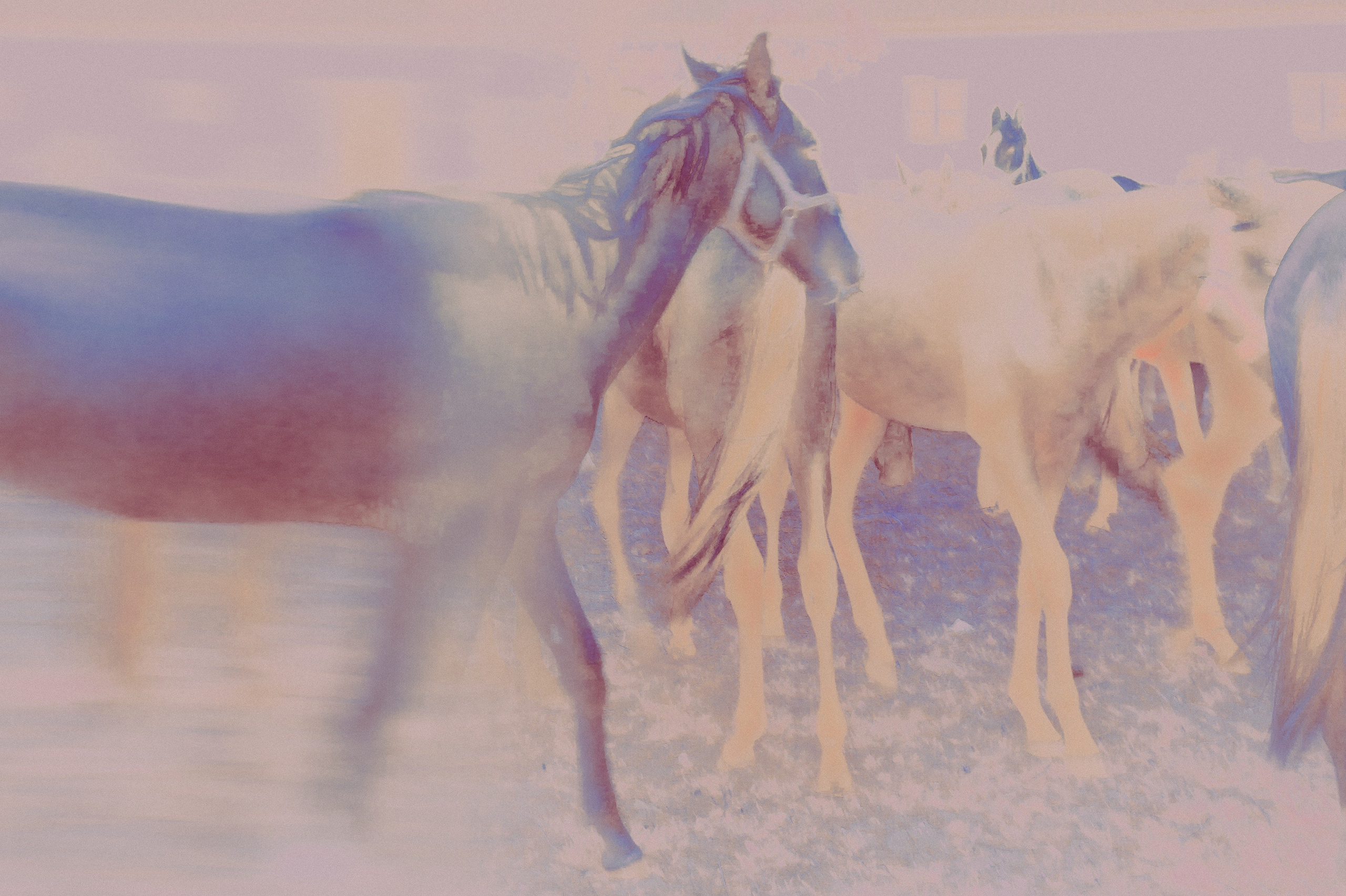 ХРАНИТЕЛИ. Фотограф, визуальный артист Наташа Солнцева, Москва