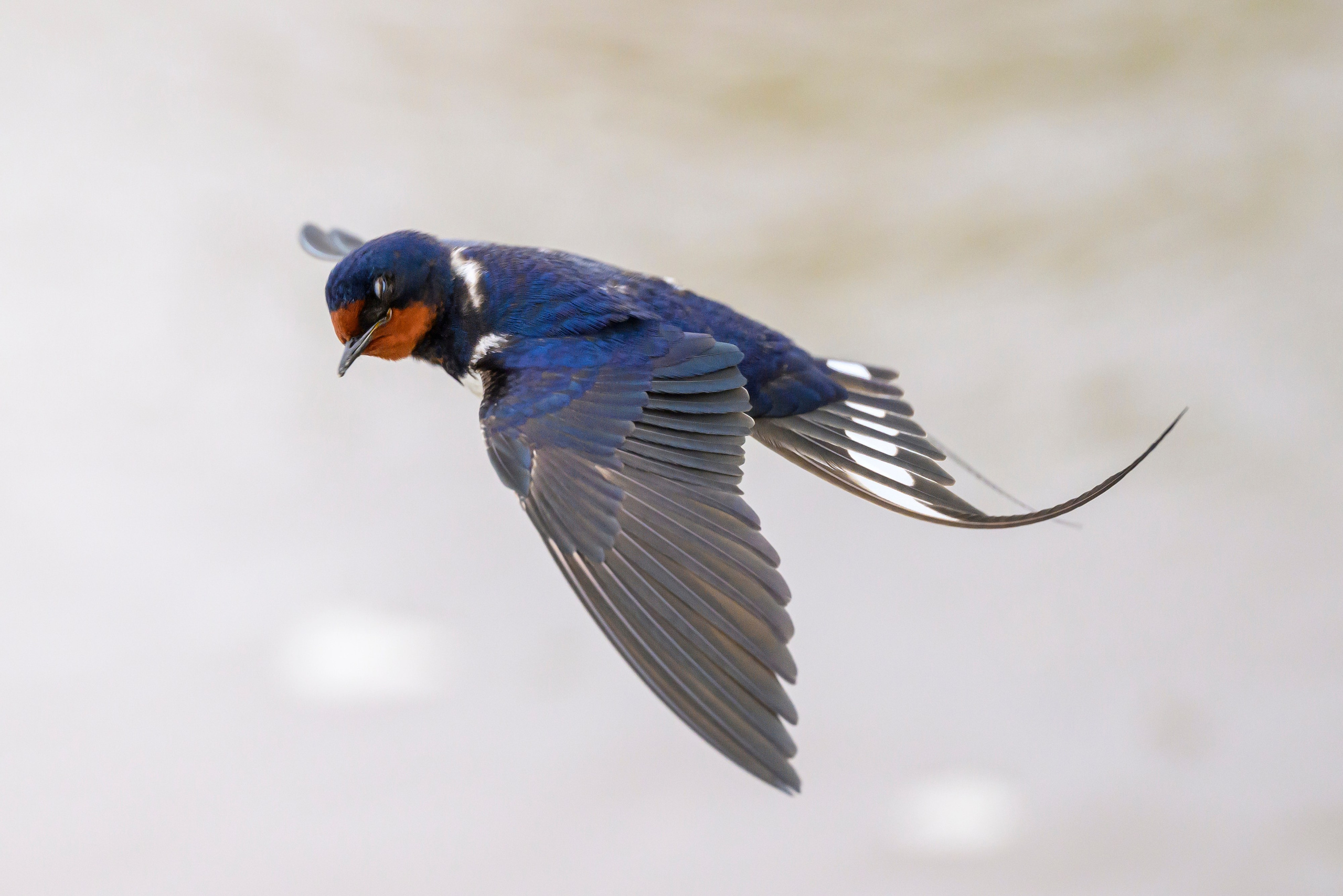 Снегопад. Фотограф Сергей Пупонин