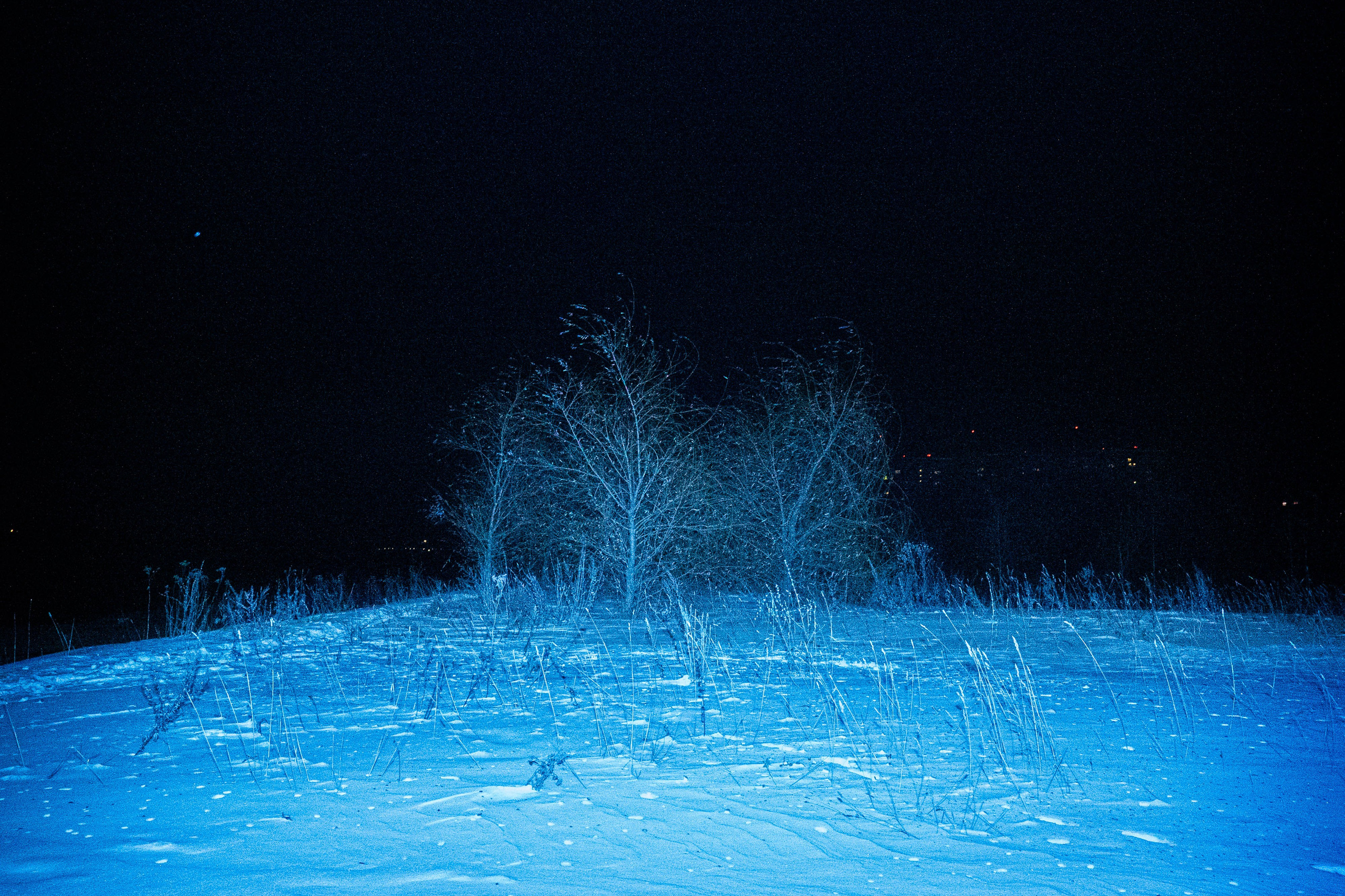 Prints on sale. Tatiana Mishchenko