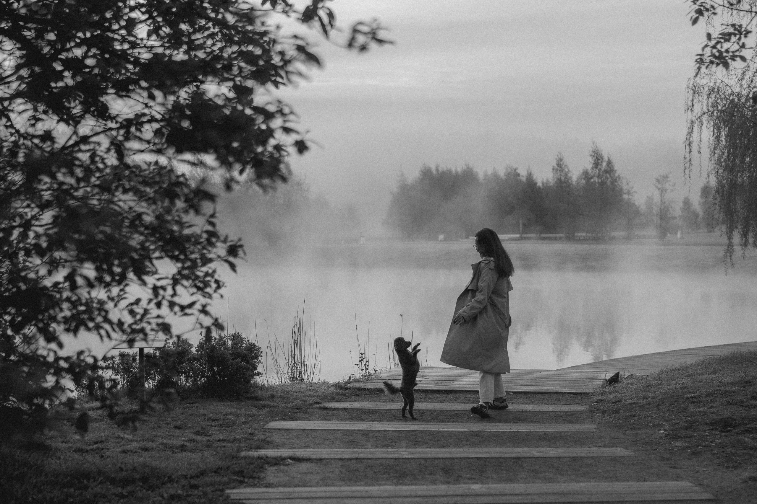 Стоимость. Фотограф анималист в Москве и Санкт-Петербурге Свиридова Анна