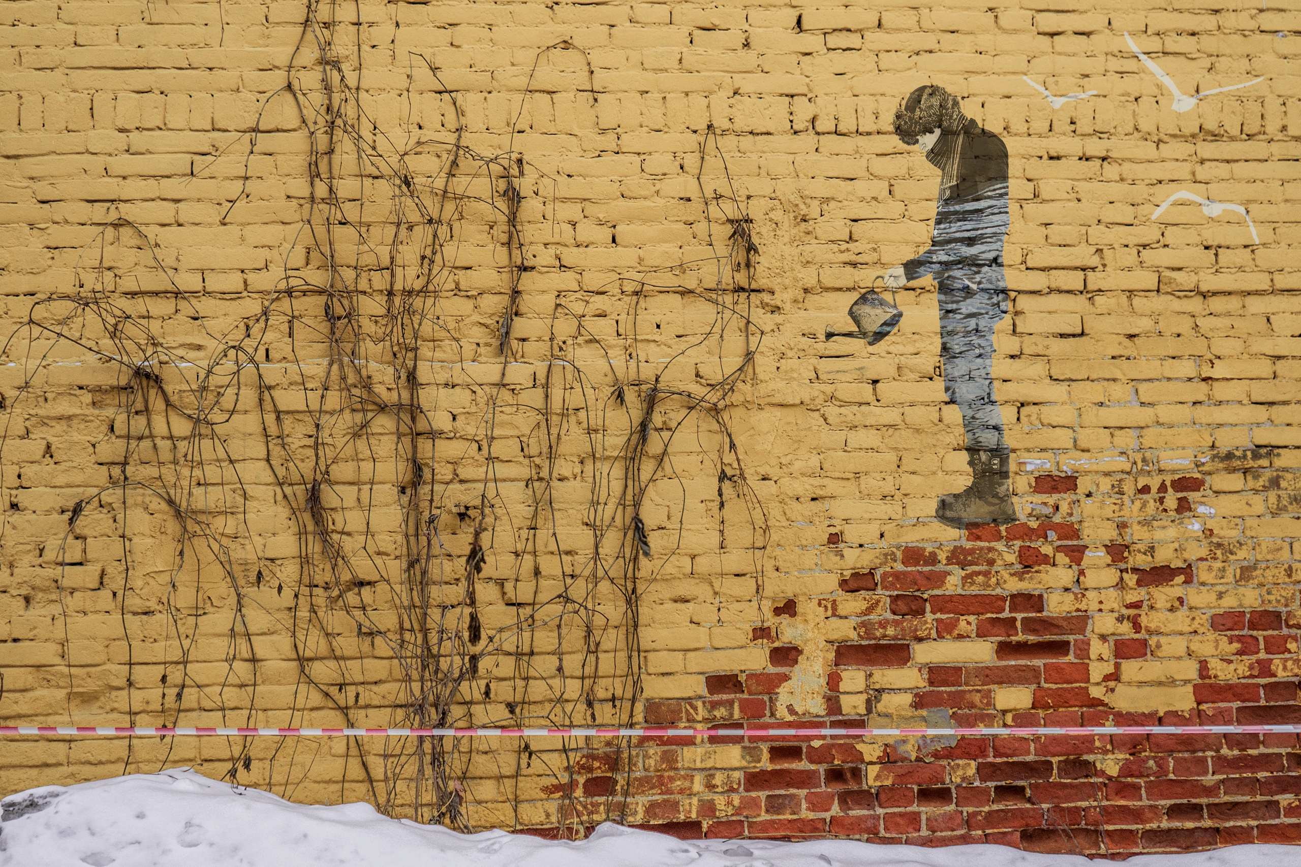 Фотопроект Разрушение и Созидание. Фотохудожник Алина Ершова