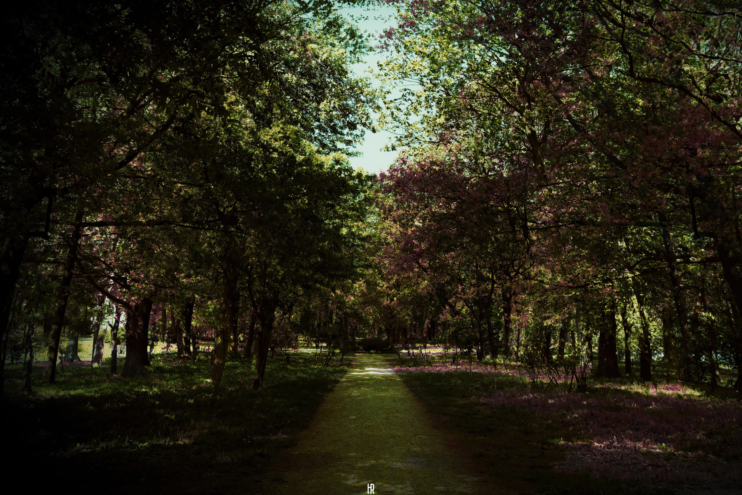 Глубина. Роман Ходырев — эзотериолог, художник, фотограф и музыкант. Санкт-Петербург, Рига