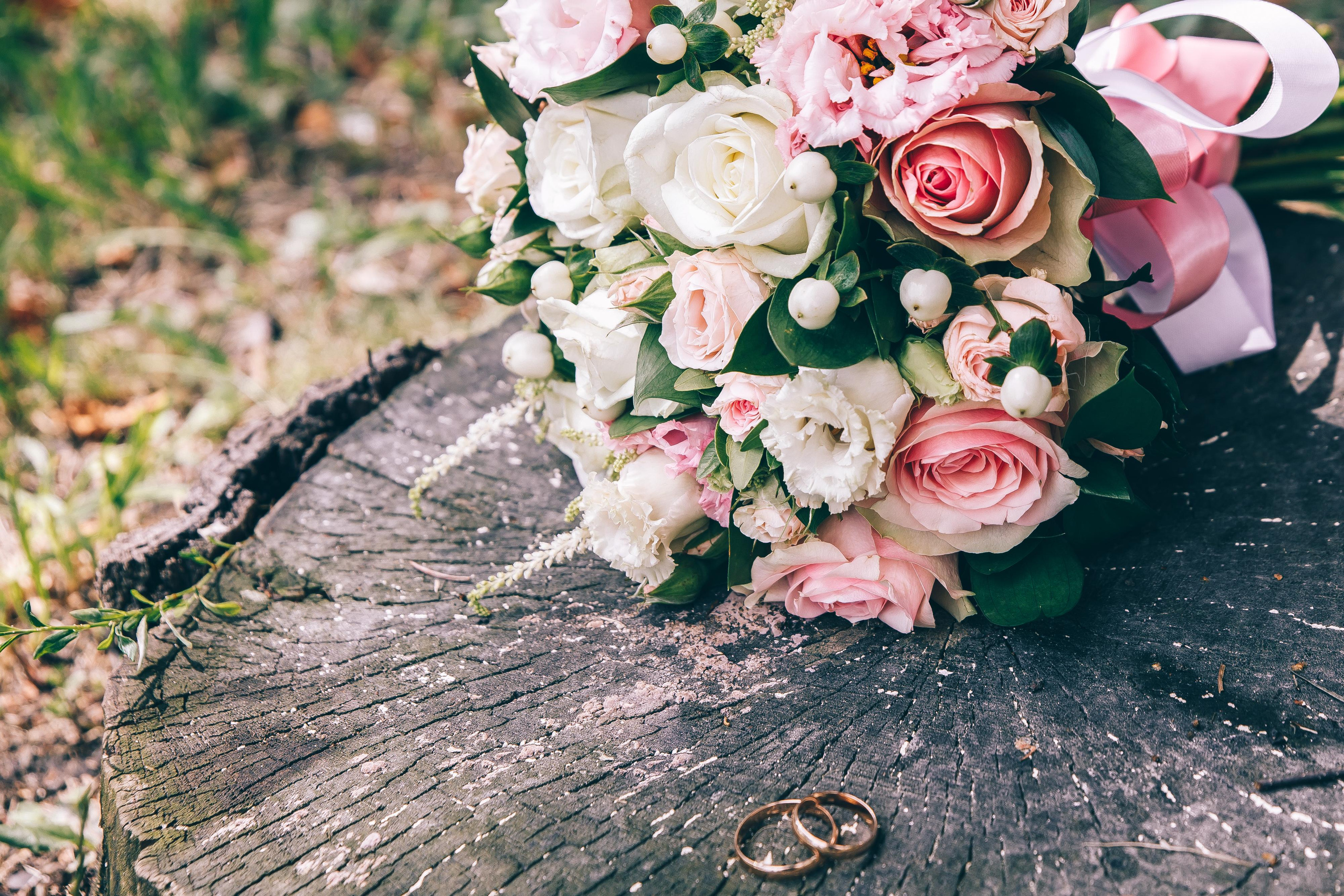 Услуги. Свадебный и семейный фотограф в Курске и Курчатове