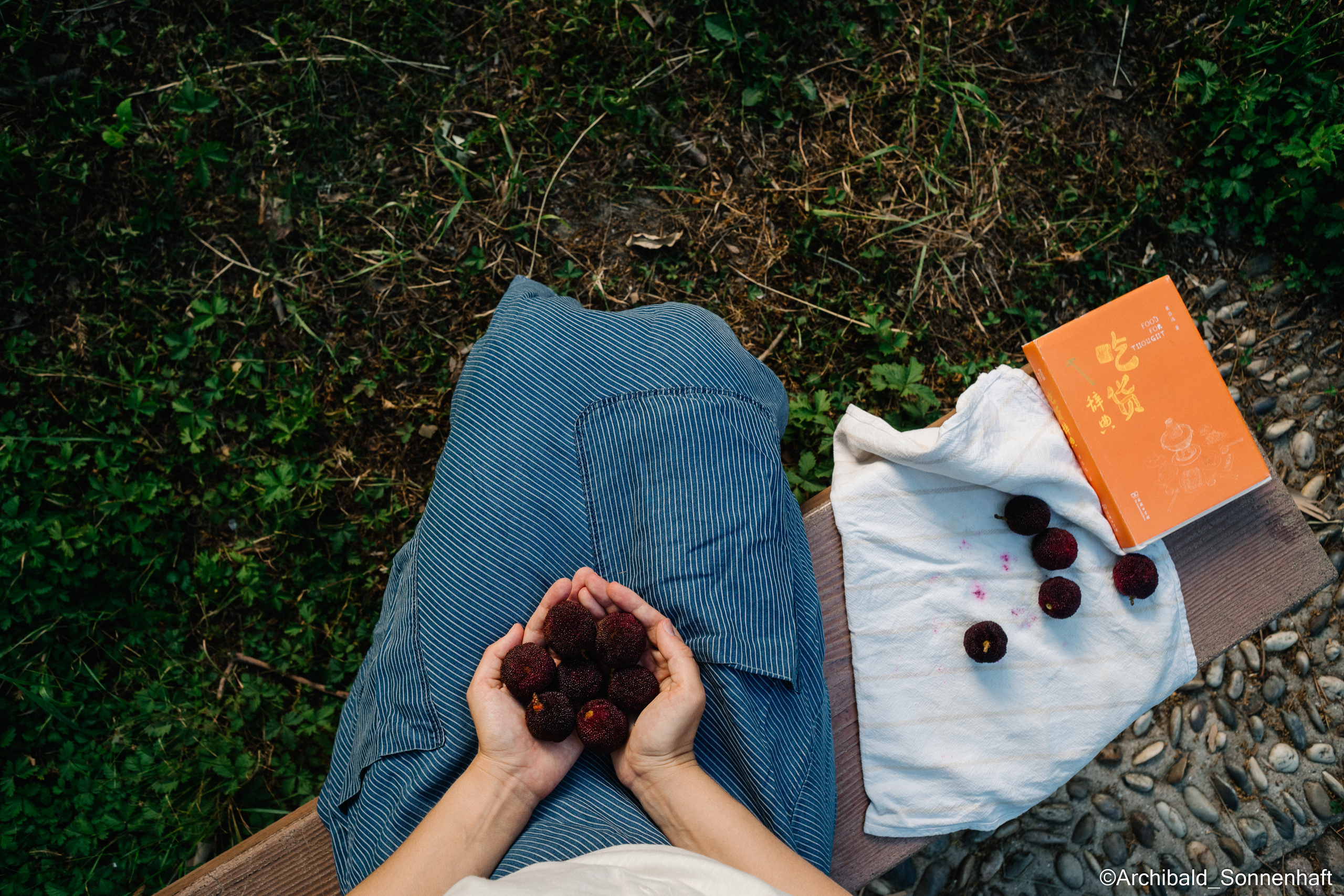 YangMei 杨梅，Bayberry. Photographer in Guangzhou, China. Archibald Sonnenhaft