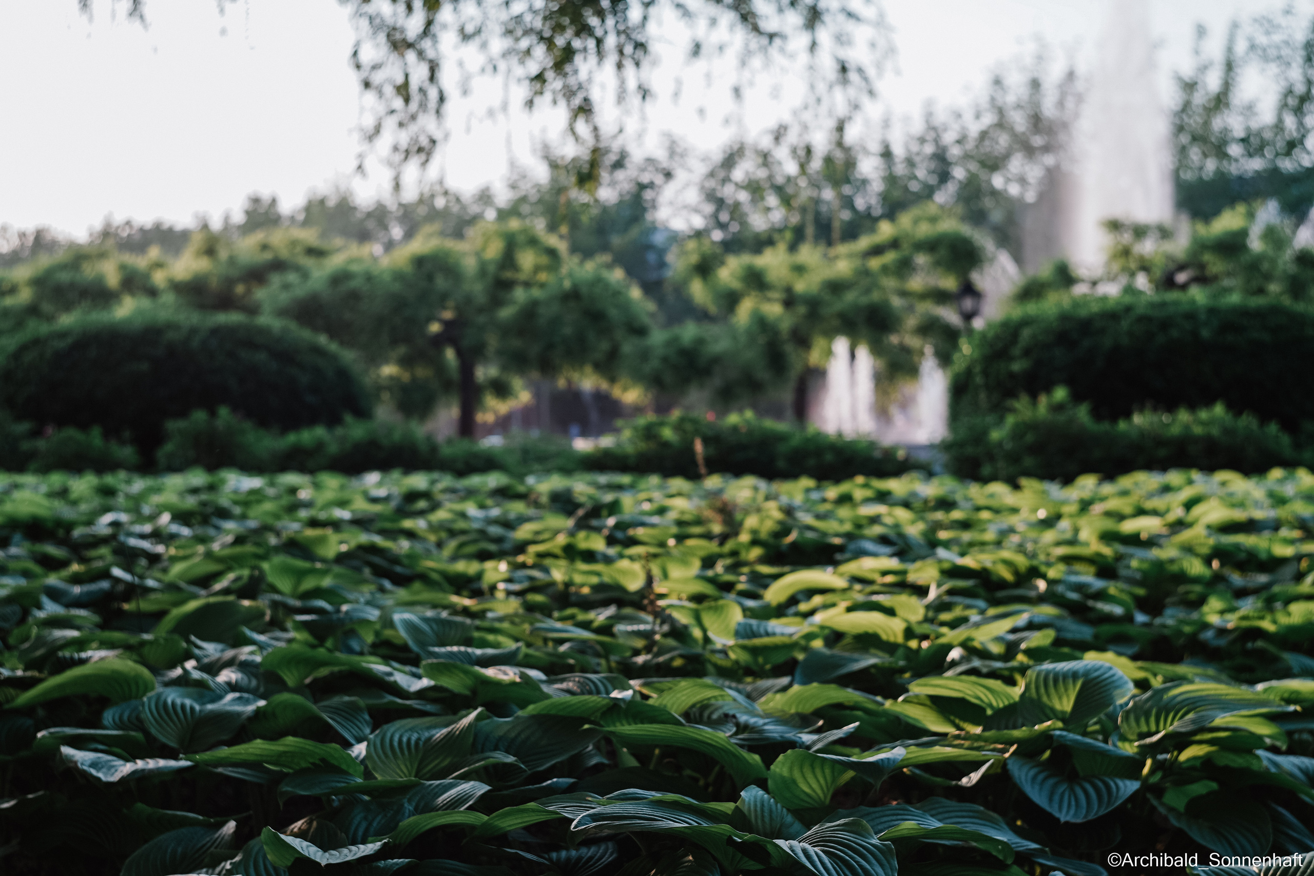 Tianjin University. Photographer in Guangzhou, China. Archibald Sonnenhaft