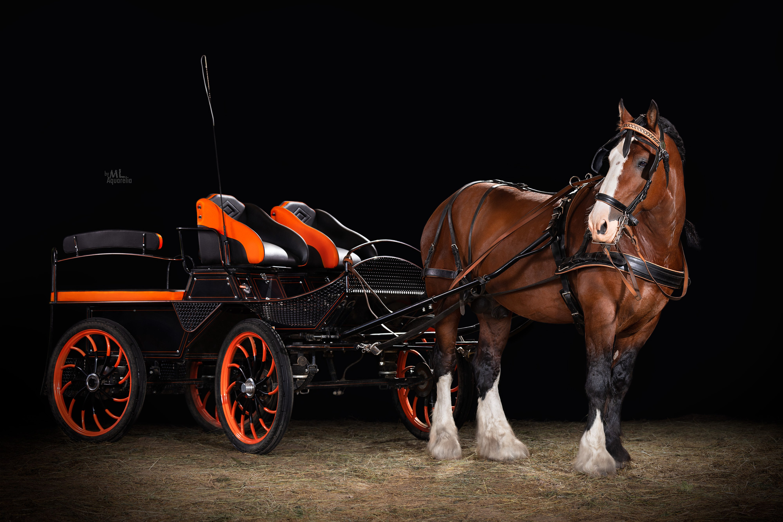 Мобильная студия. Mrs.Aquarelia Конный фотограф Марианна Леонтьева