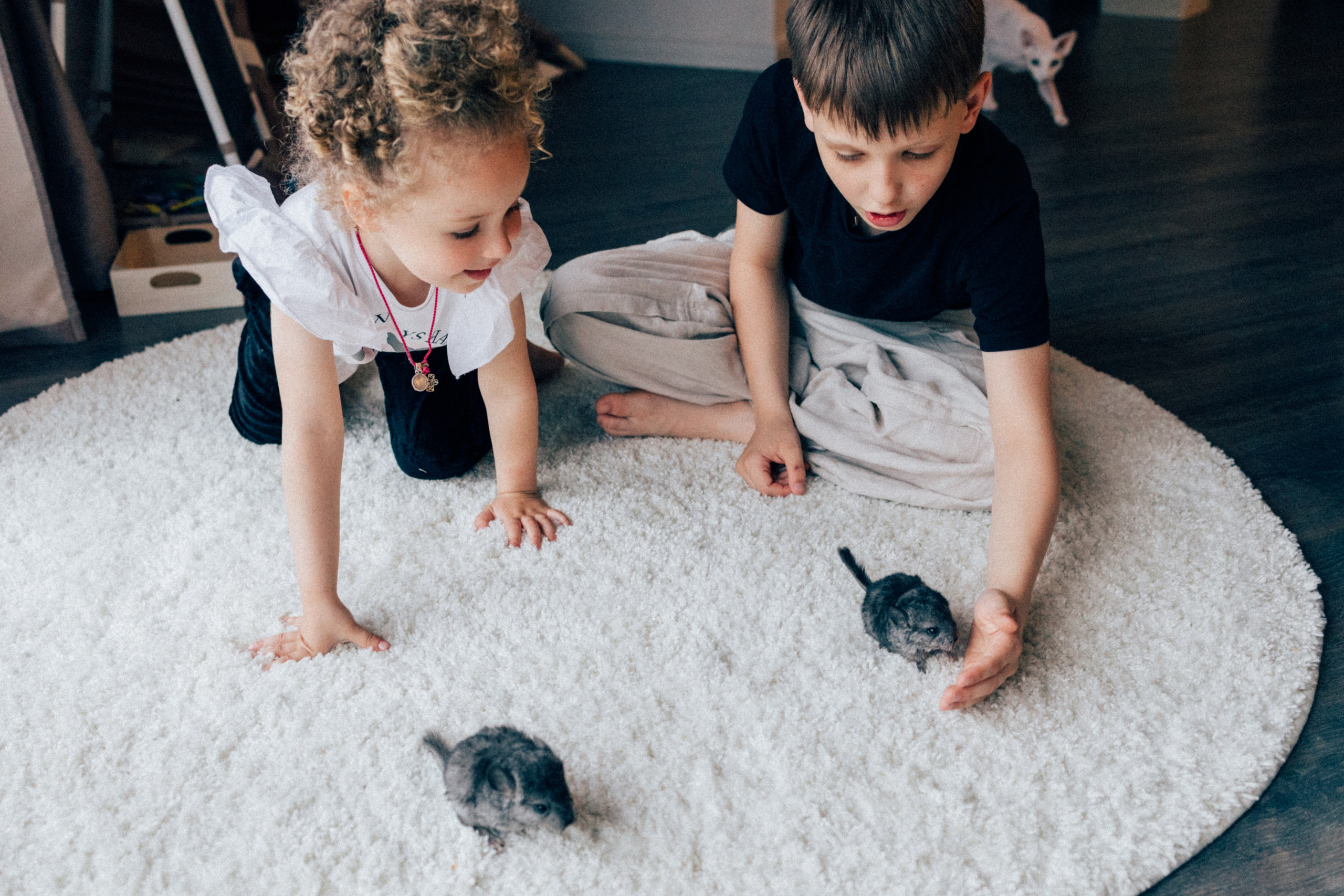 Обо мне. Семейный, женский и детский фотограф Татьяна Колобаева