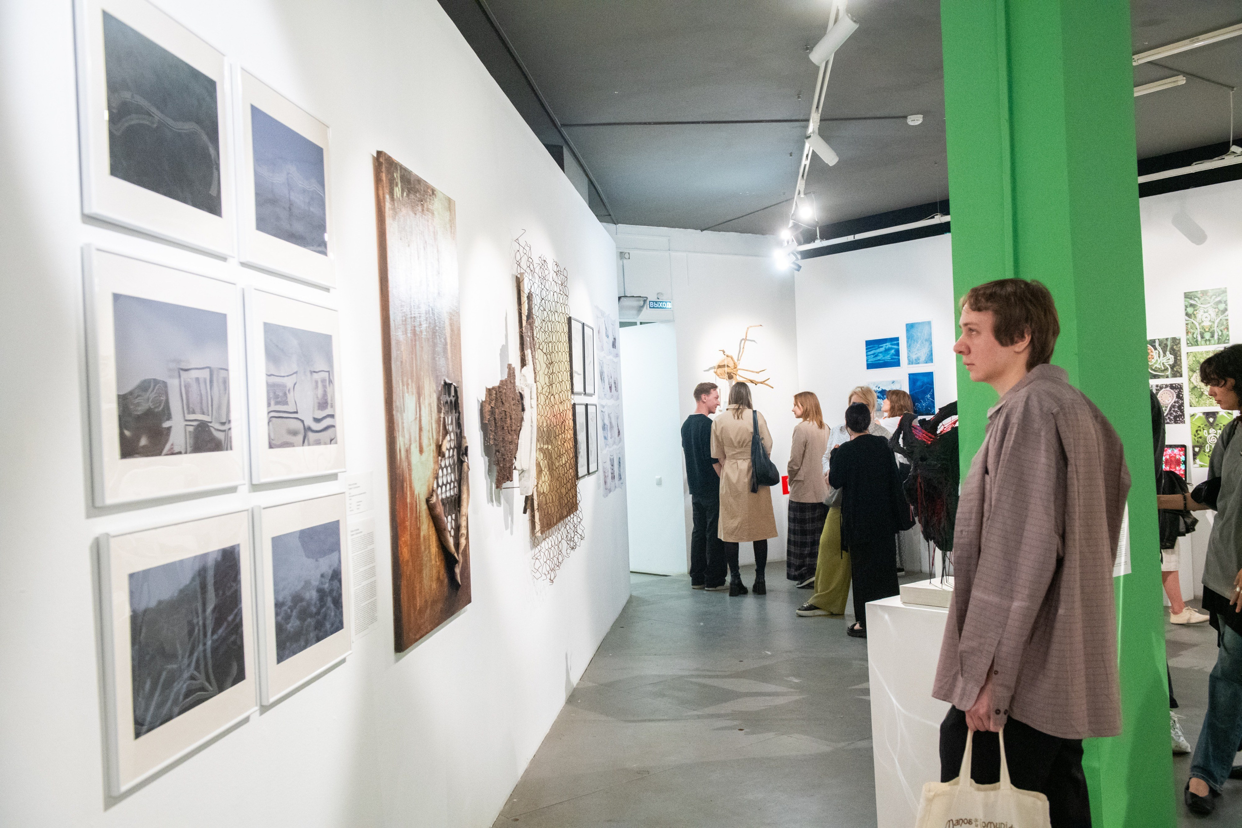 Тропа волн. Julia Altukhova, multimedia artist