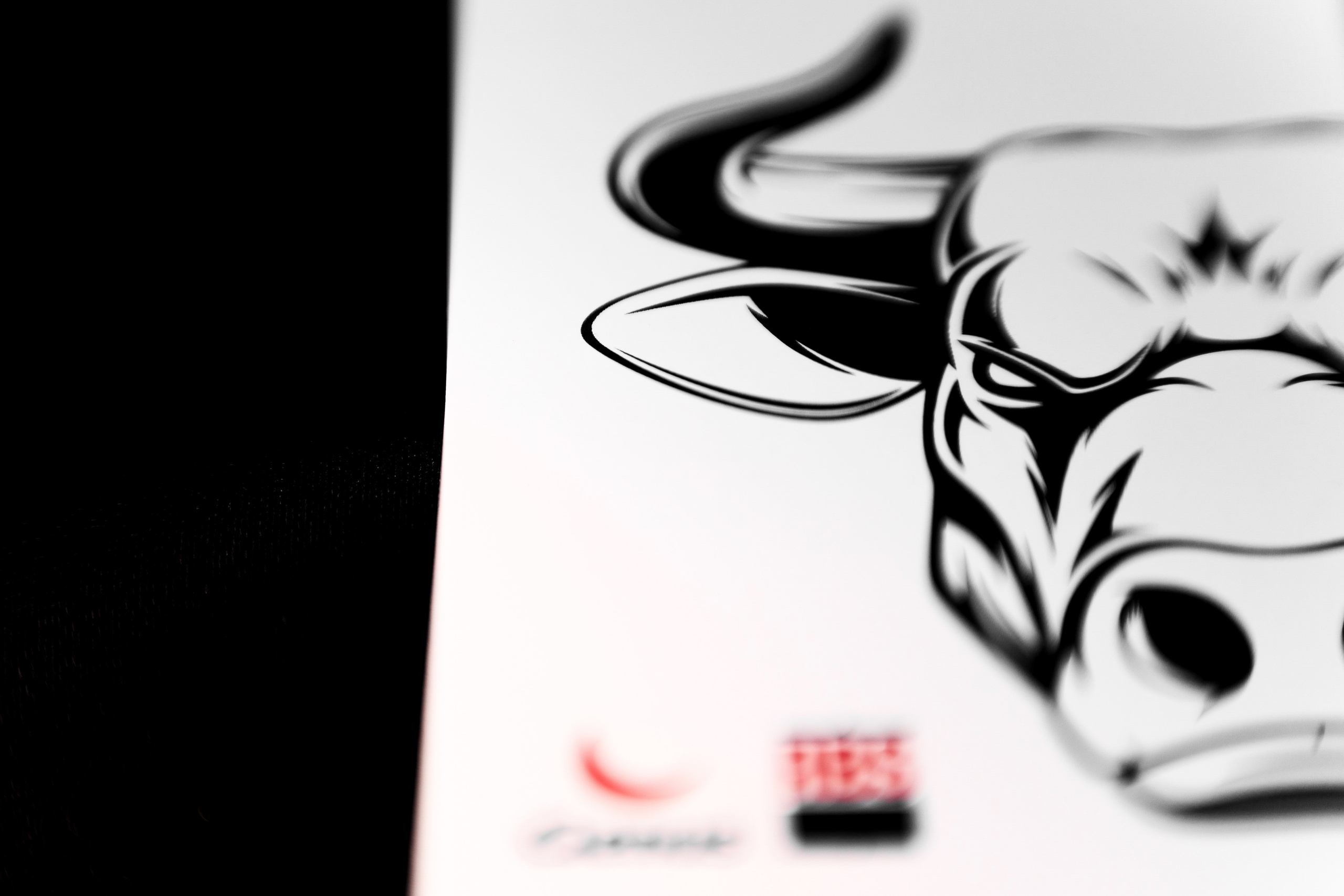 Репортажный фотограф Сочи