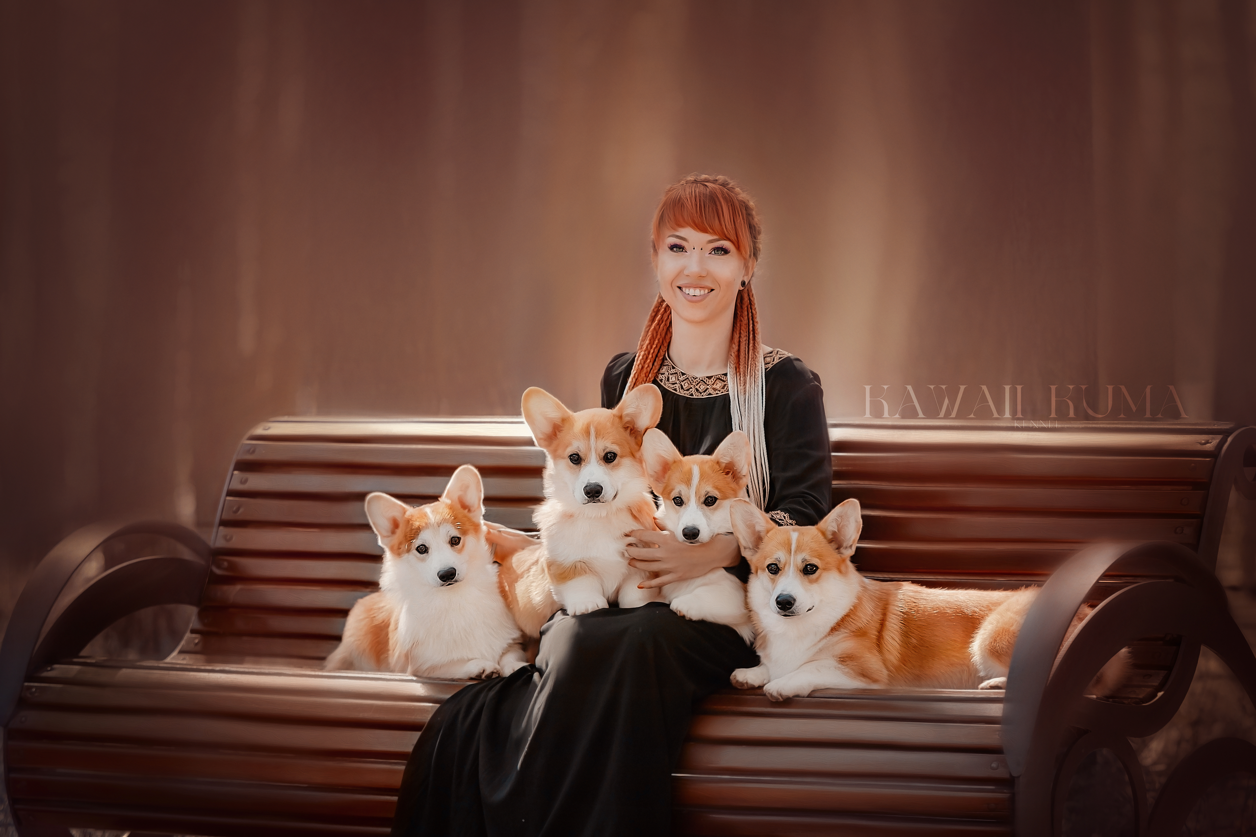 Контакты. Kawaii Kuma питомник собак пород Корги пемброк, Акита ину, Сиба