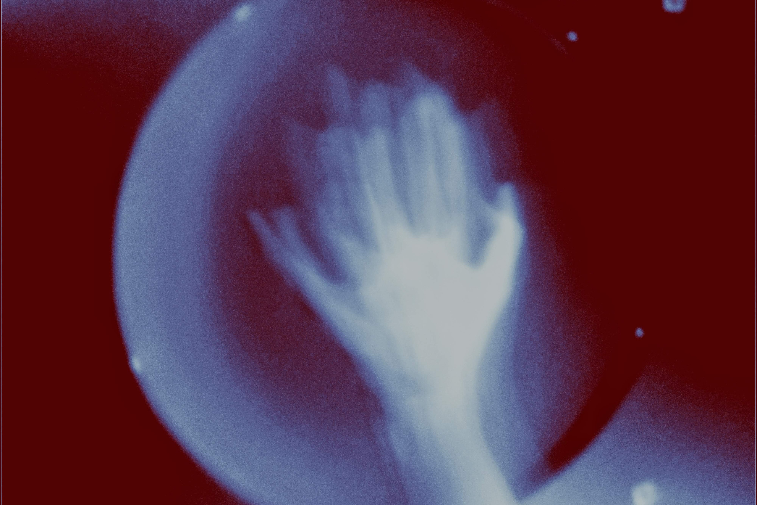 Работы студентов. Private image