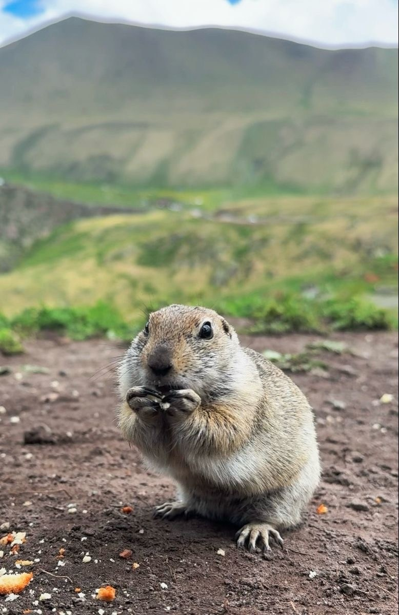 Джип тур — Джилы Су. GIGI TOUR