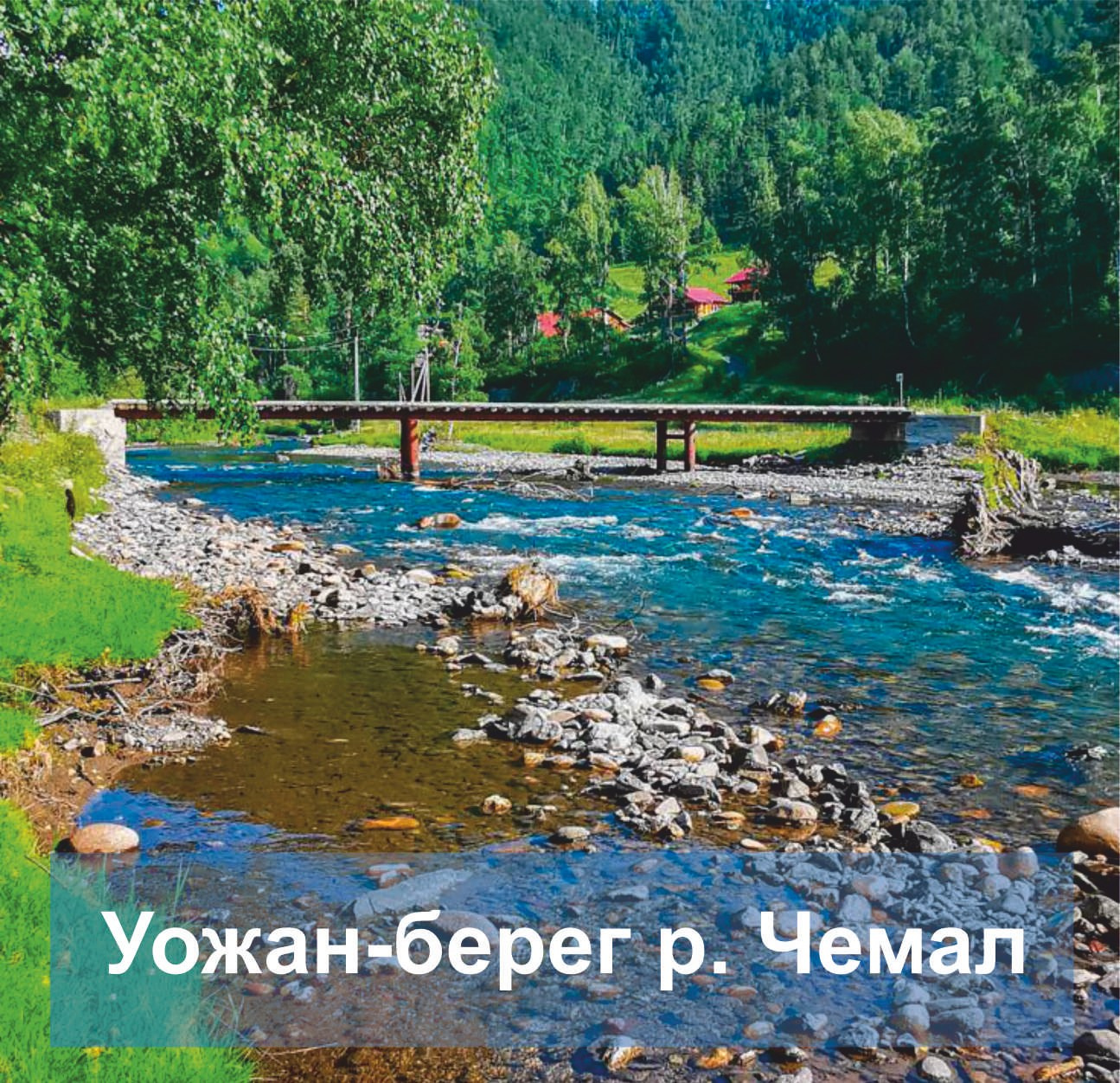 Уожан берег р. Чемал. Банк земельных участков Алтая
