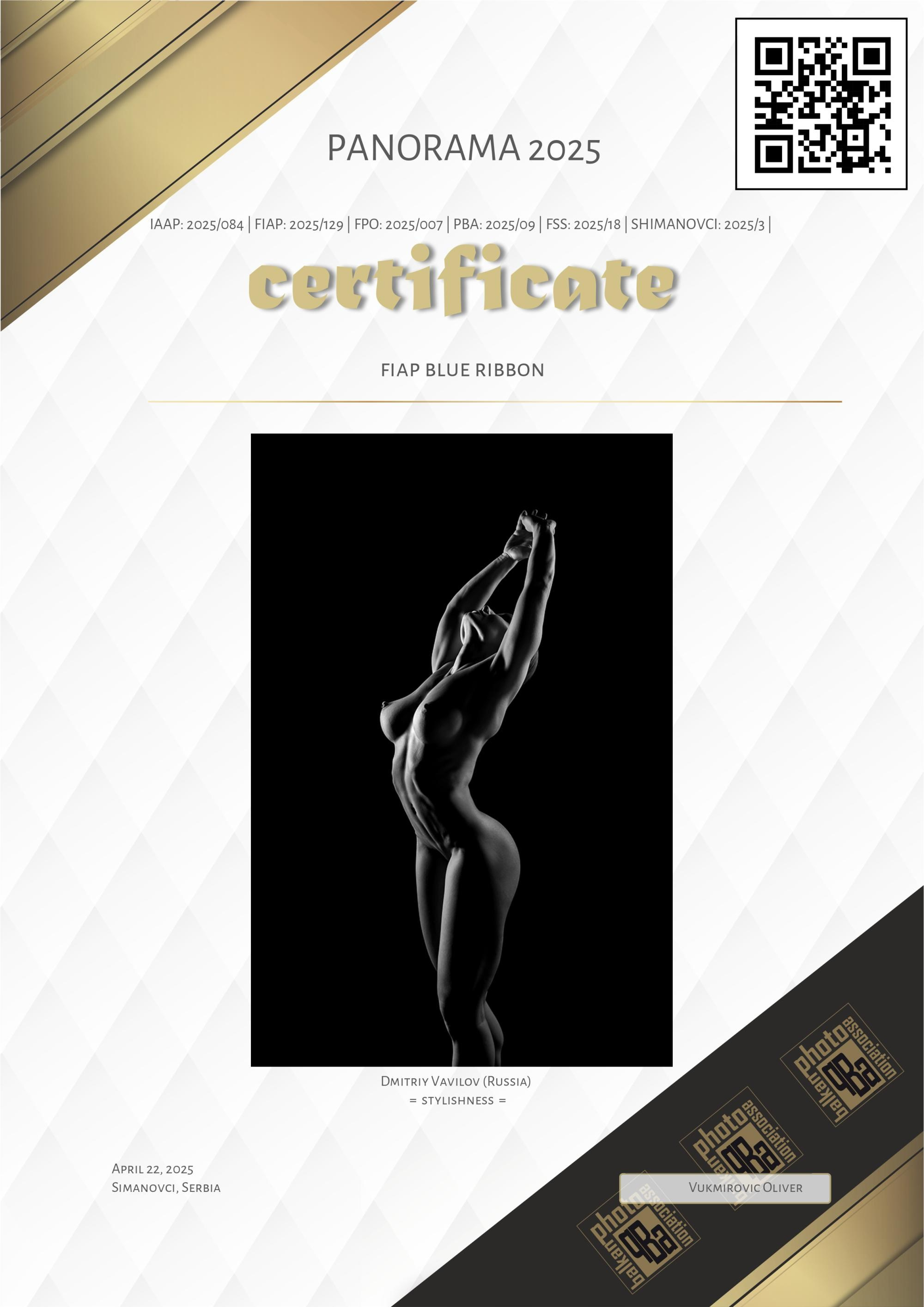 Серебряная награда. Творческие фотосессии в Москве