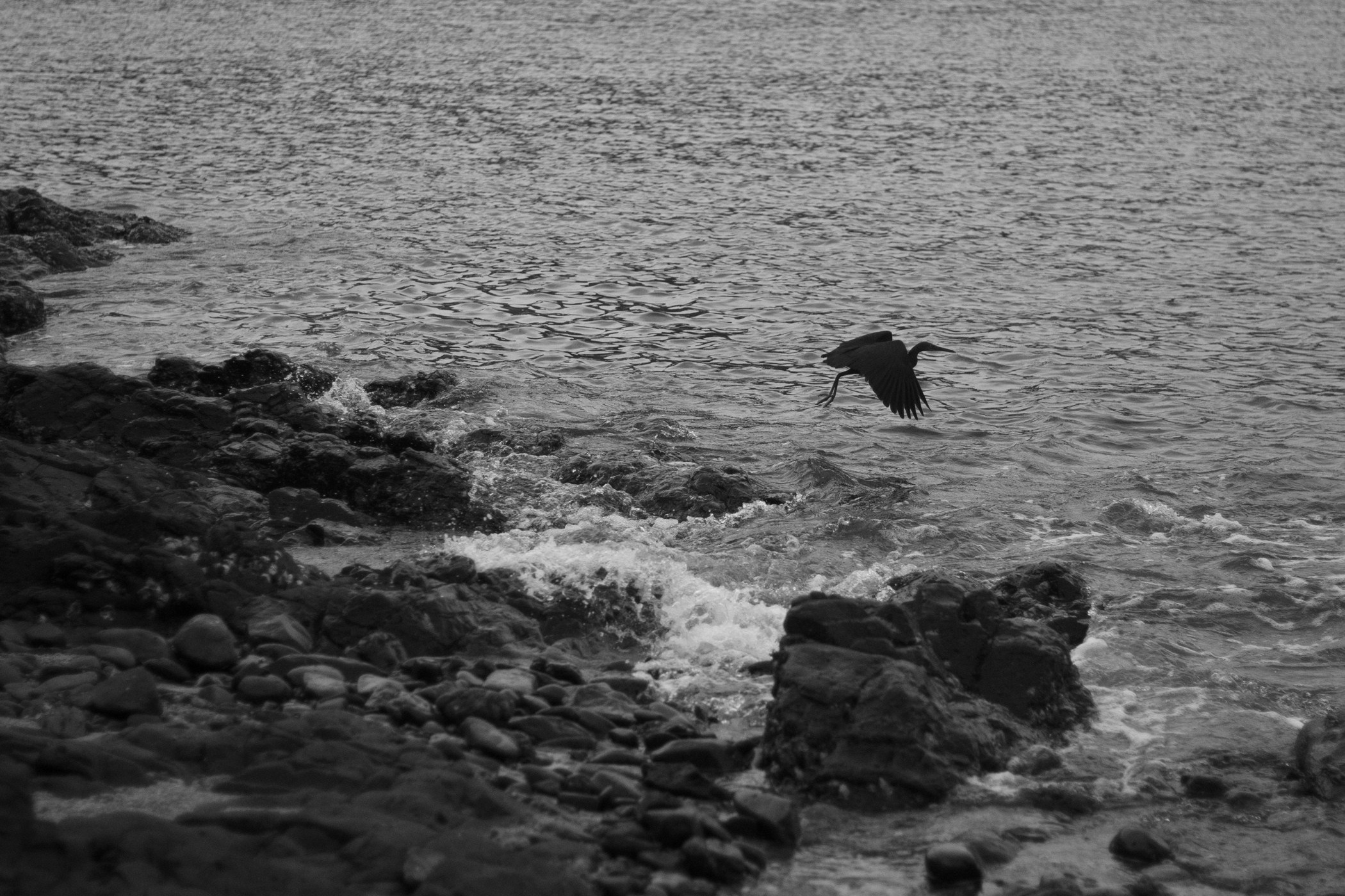 Фотосессии на Пхукете — солнце, море